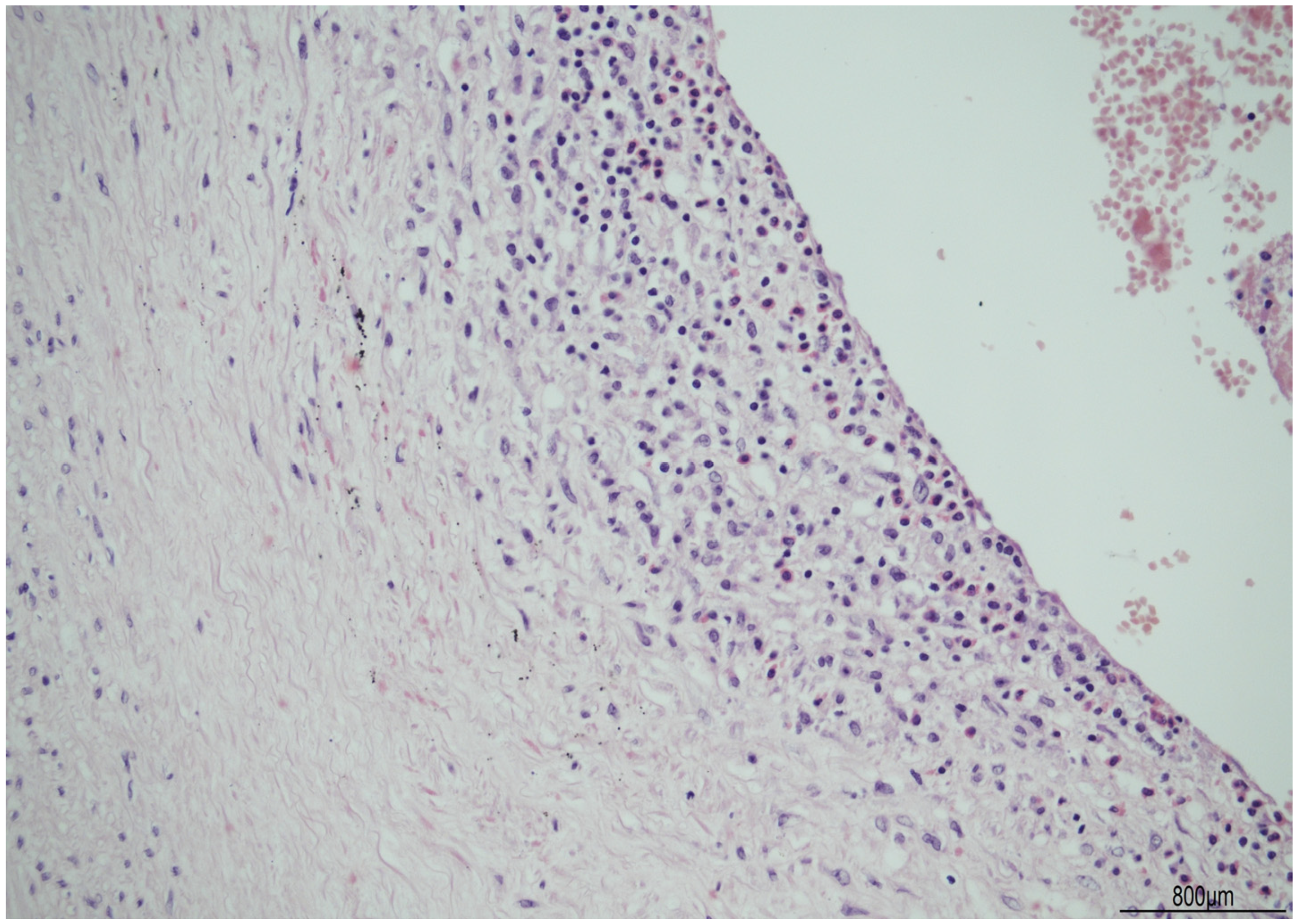 Ijms 24 09207 g002 Ijms 24 09207 g002