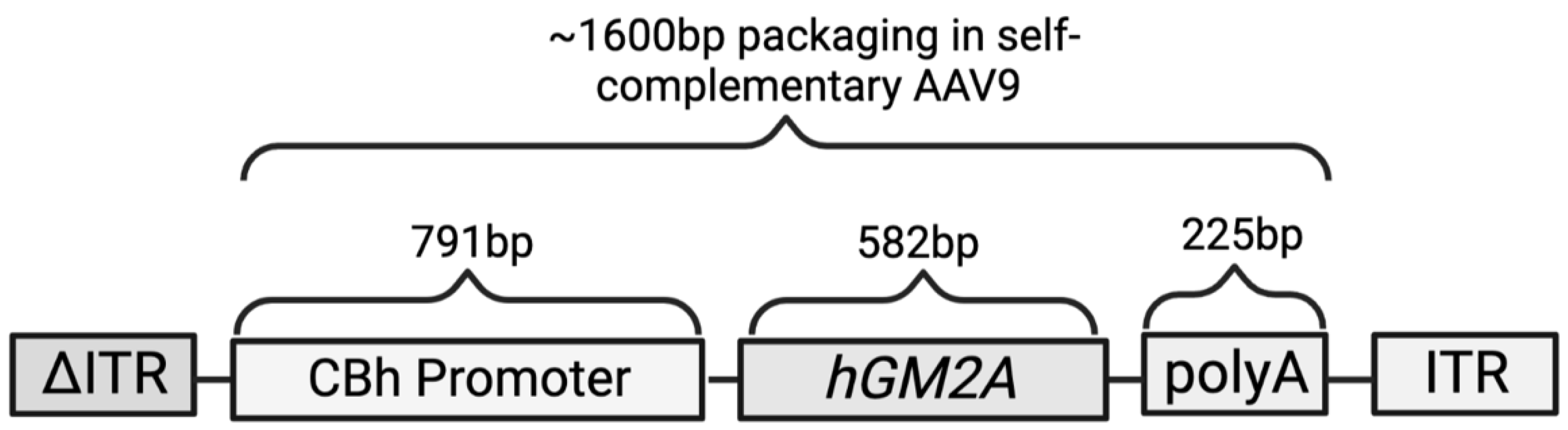 Ijms 24 09217 g001 Ijms 24 09217 g001