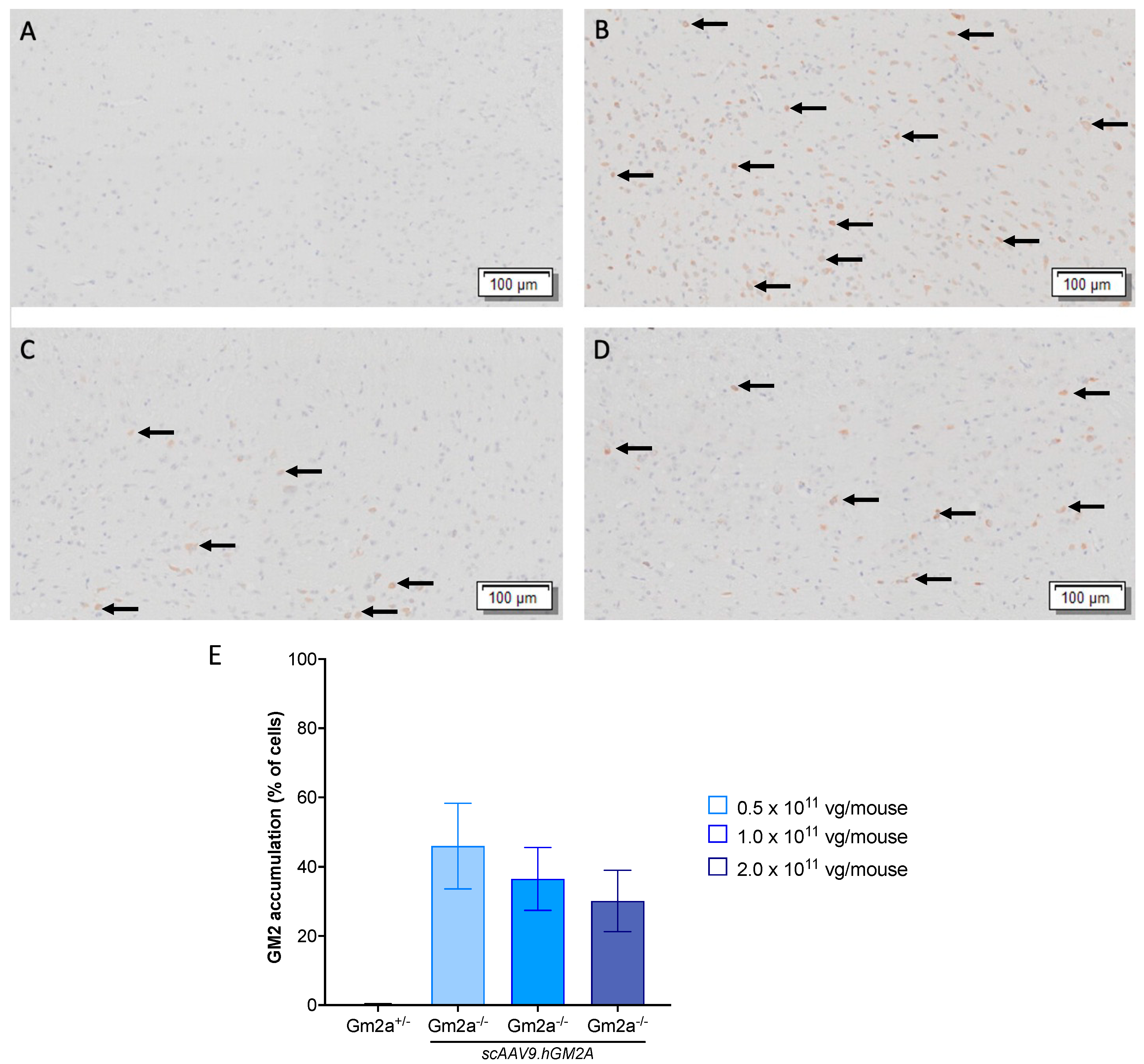 Ijms 24 09217 g005 Ijms 24 09217 g005