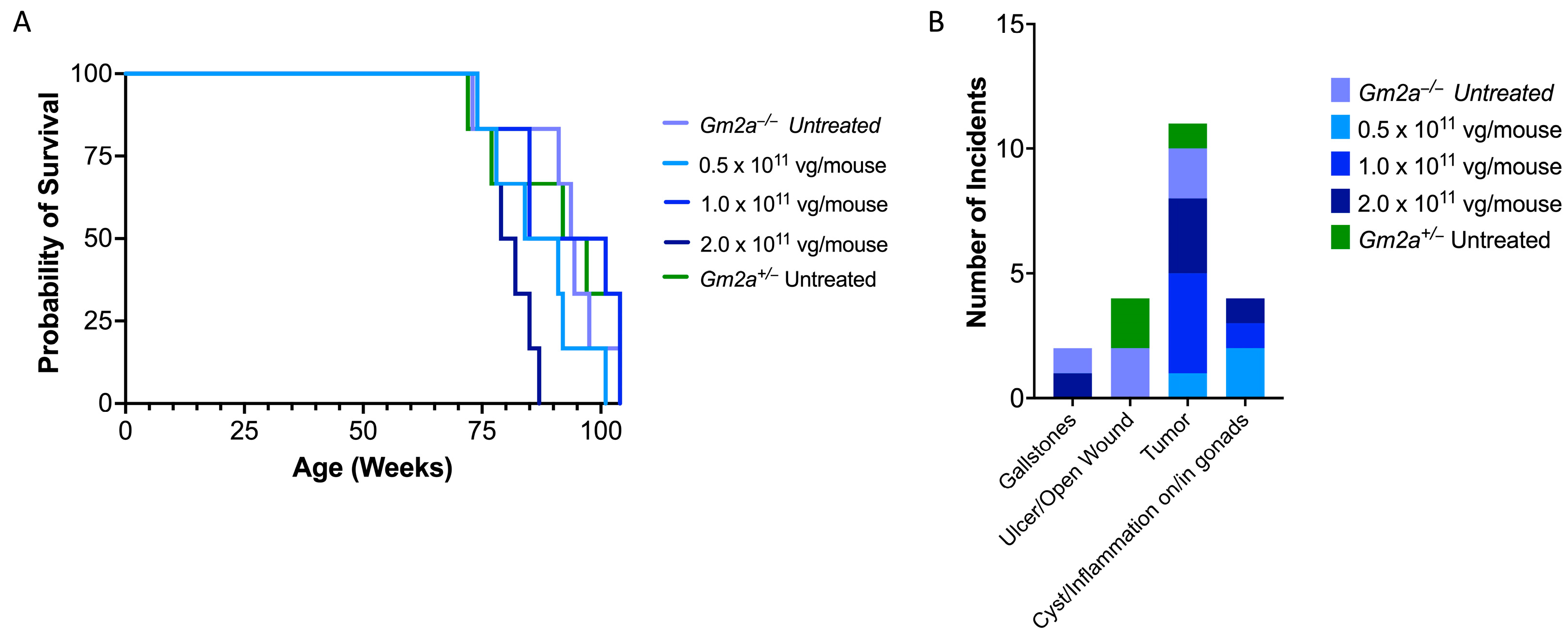 Ijms 24 09217 g006 Ijms 24 09217 g006