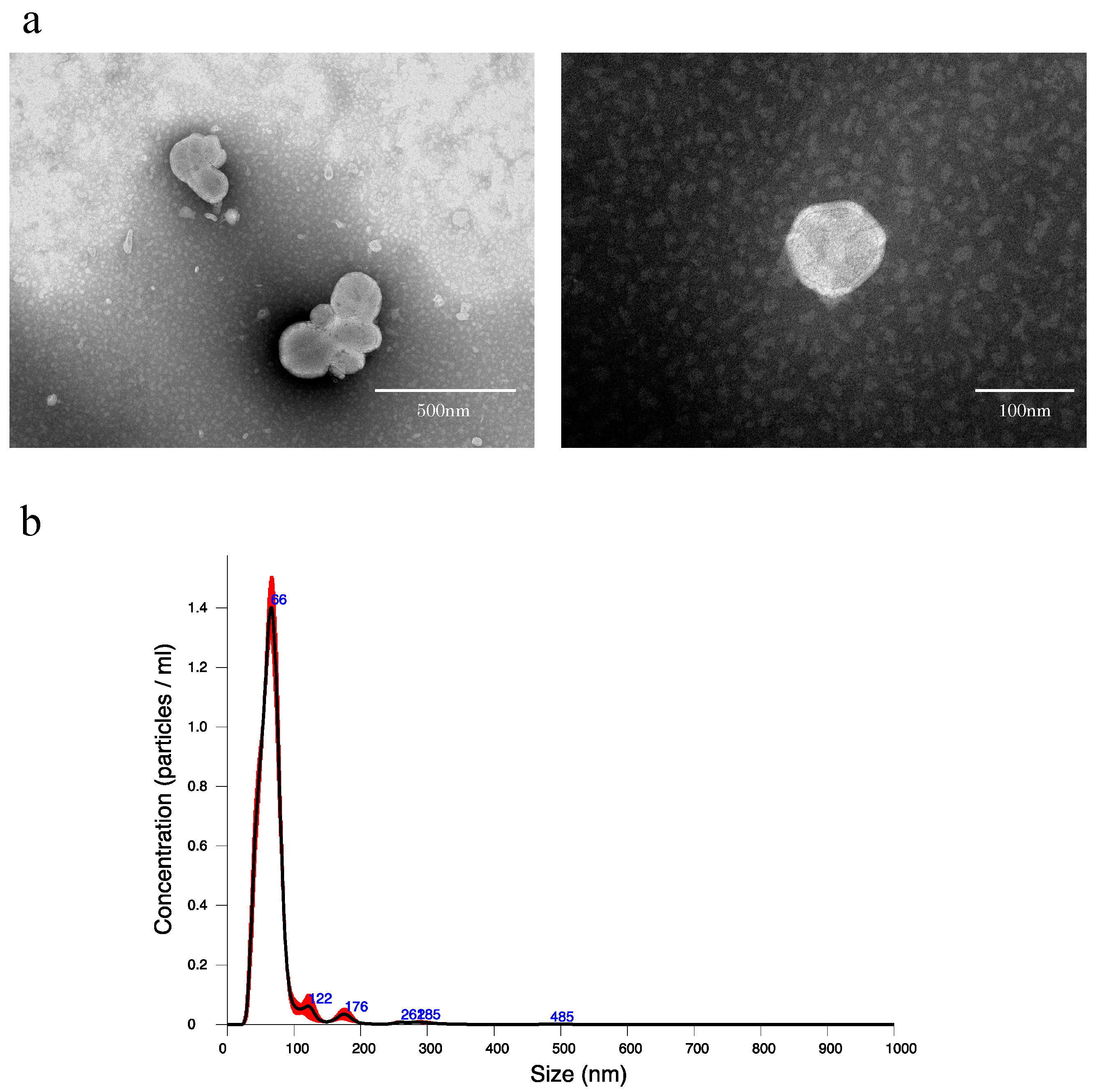 Ijms 24 09230 g001 Ijms 24 09230 g001