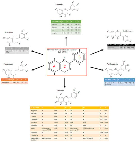 IJMS | Free Full-Text | Effects of Flavonoids on Cancer