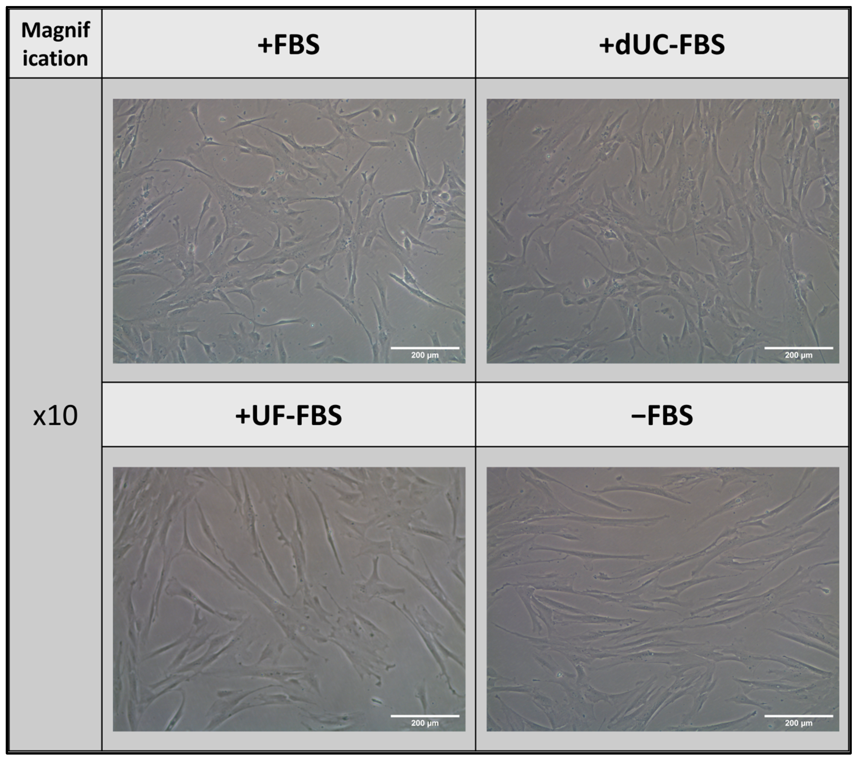 Ijms 24 09242 g002 Ijms 24 09242 g002