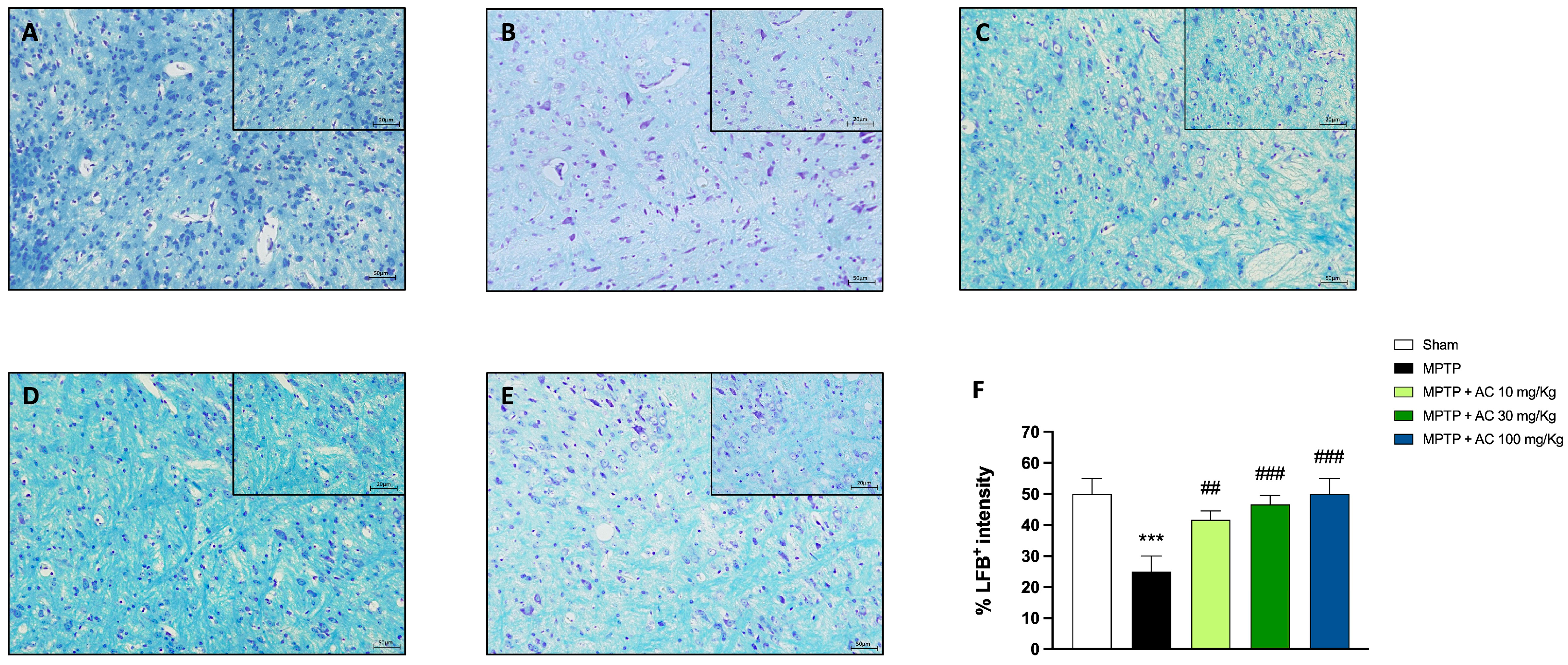 Ijms 24 09250 g002 Ijms 24 09250 g002