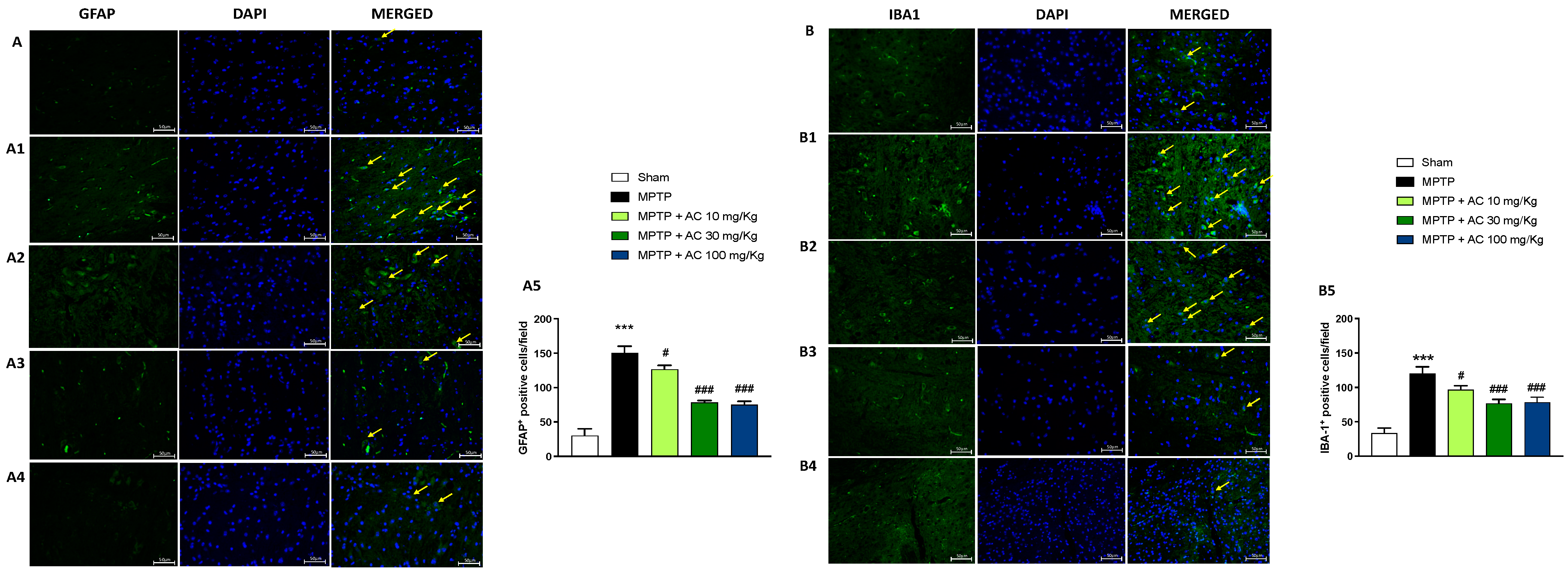 Ijms 24 09250 g003 Ijms 24 09250 g003