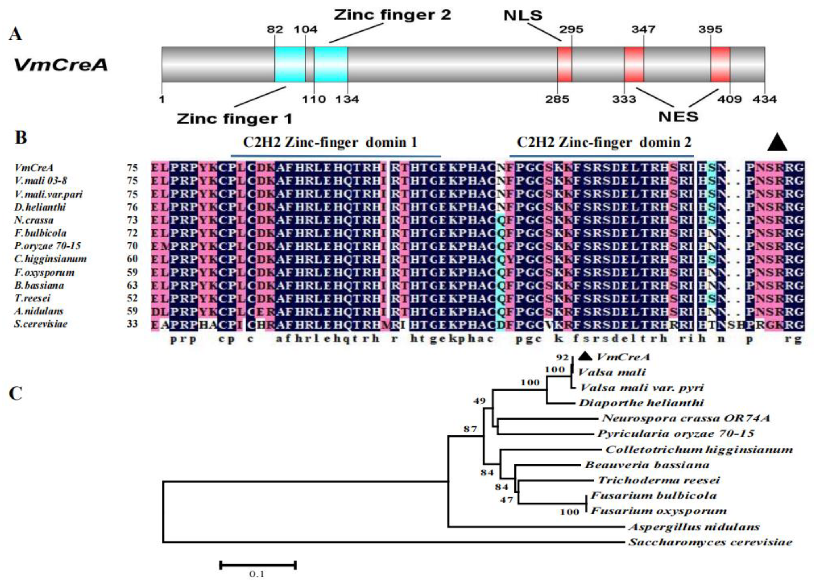 Ijms 24 09252 g001 Ijms 24 09252 g001