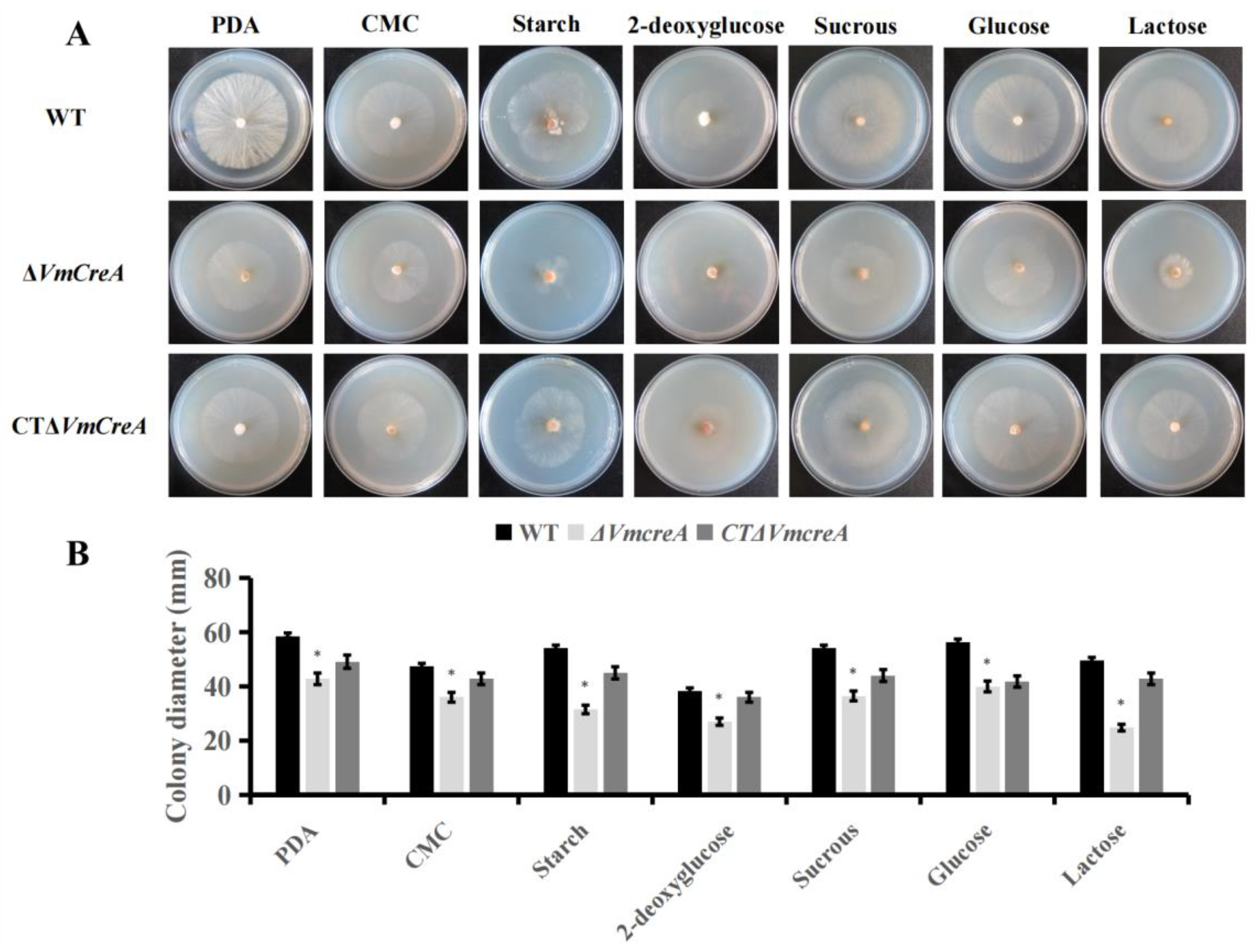 Ijms 24 09252 g003 Ijms 24 09252 g003