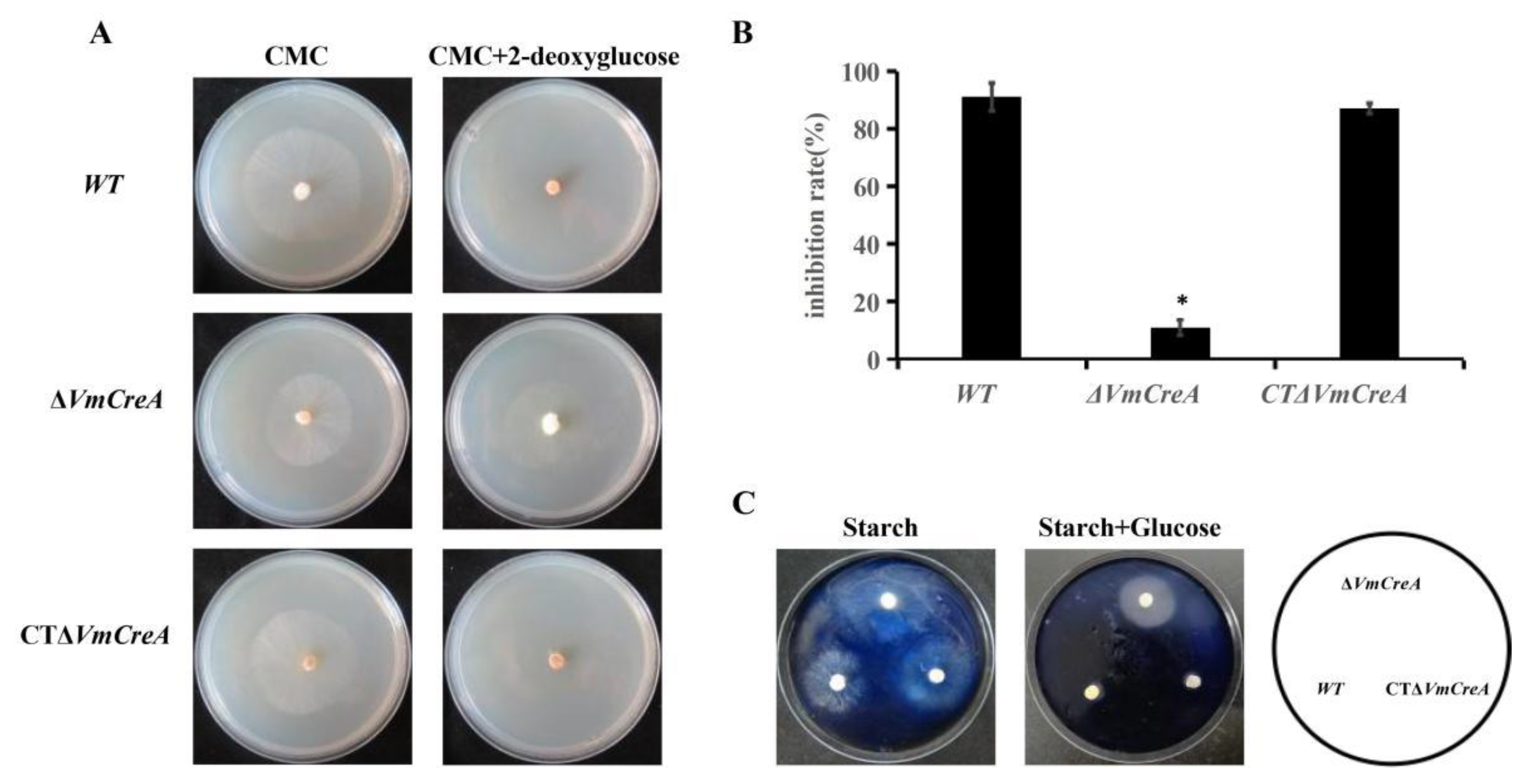Ijms 24 09252 g004 Ijms 24 09252 g004