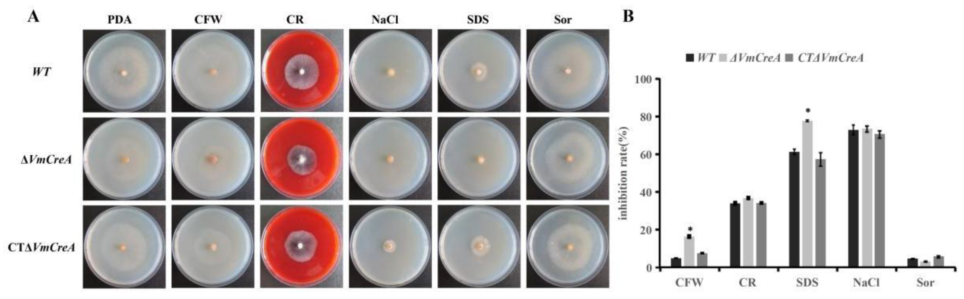 Ijms 24 09252 g005 Ijms 24 09252 g005