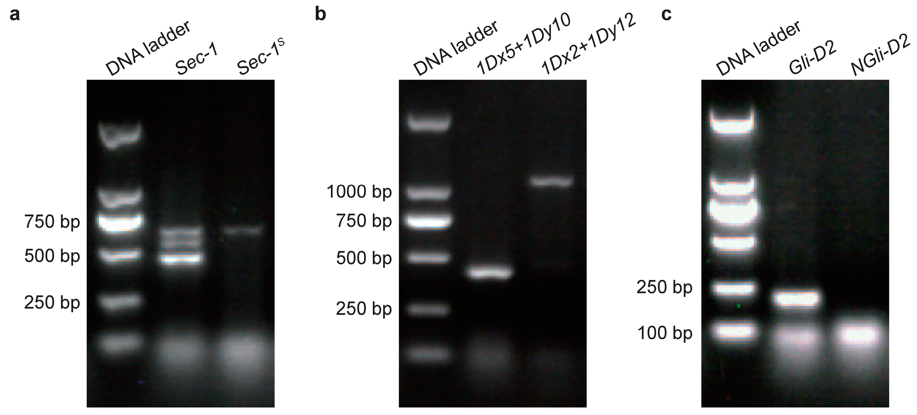 Ijms 24 09253 g001 Ijms 24 09253 g001