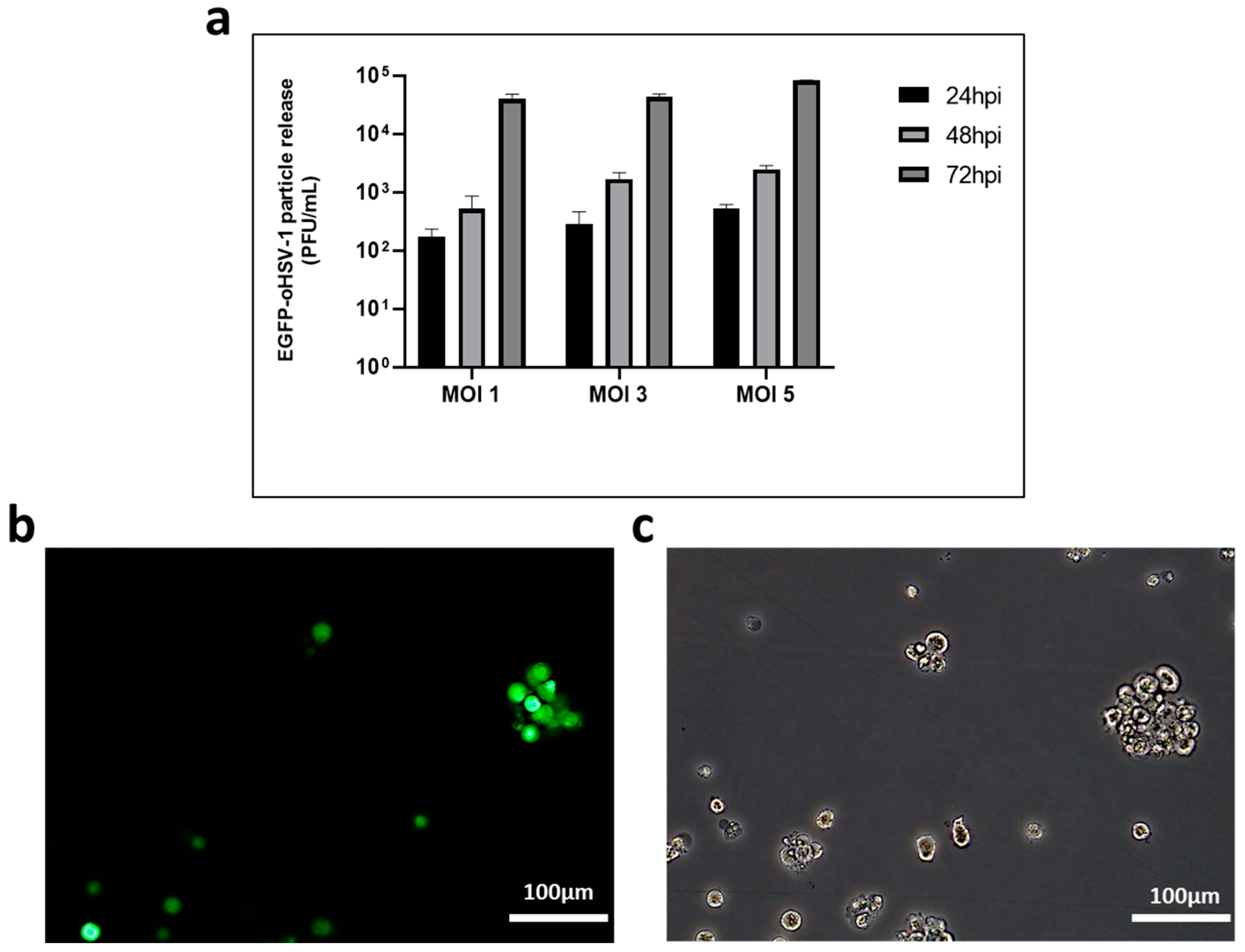 Herpes simplex virus enhances chemokine function through