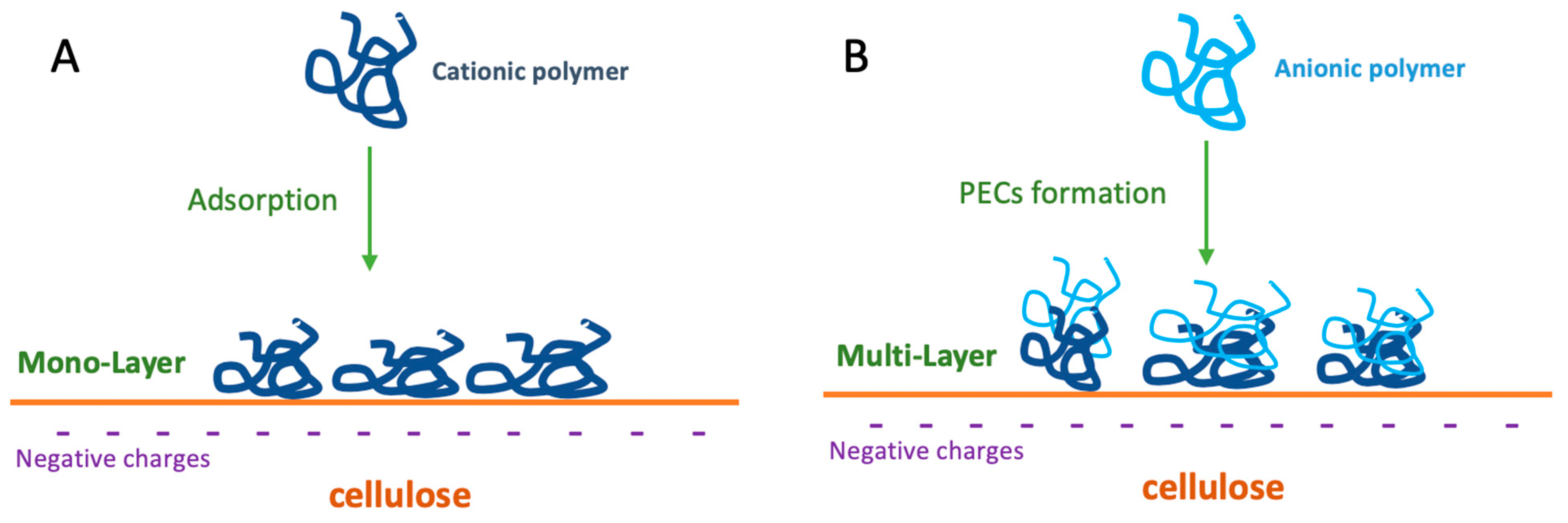 Wet Strength Additives for Paper