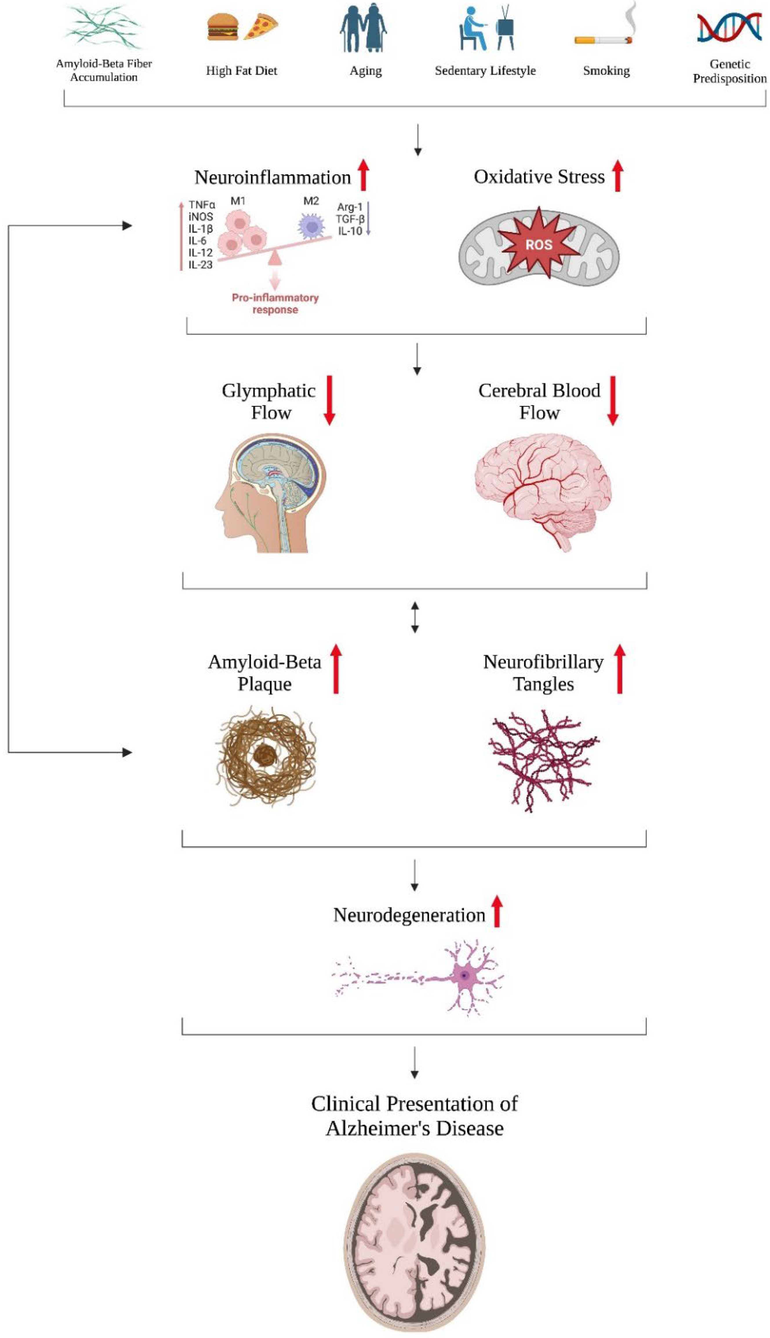 IJMS | Free Full-Text | Recent Mechanisms of Neurodegeneration and 