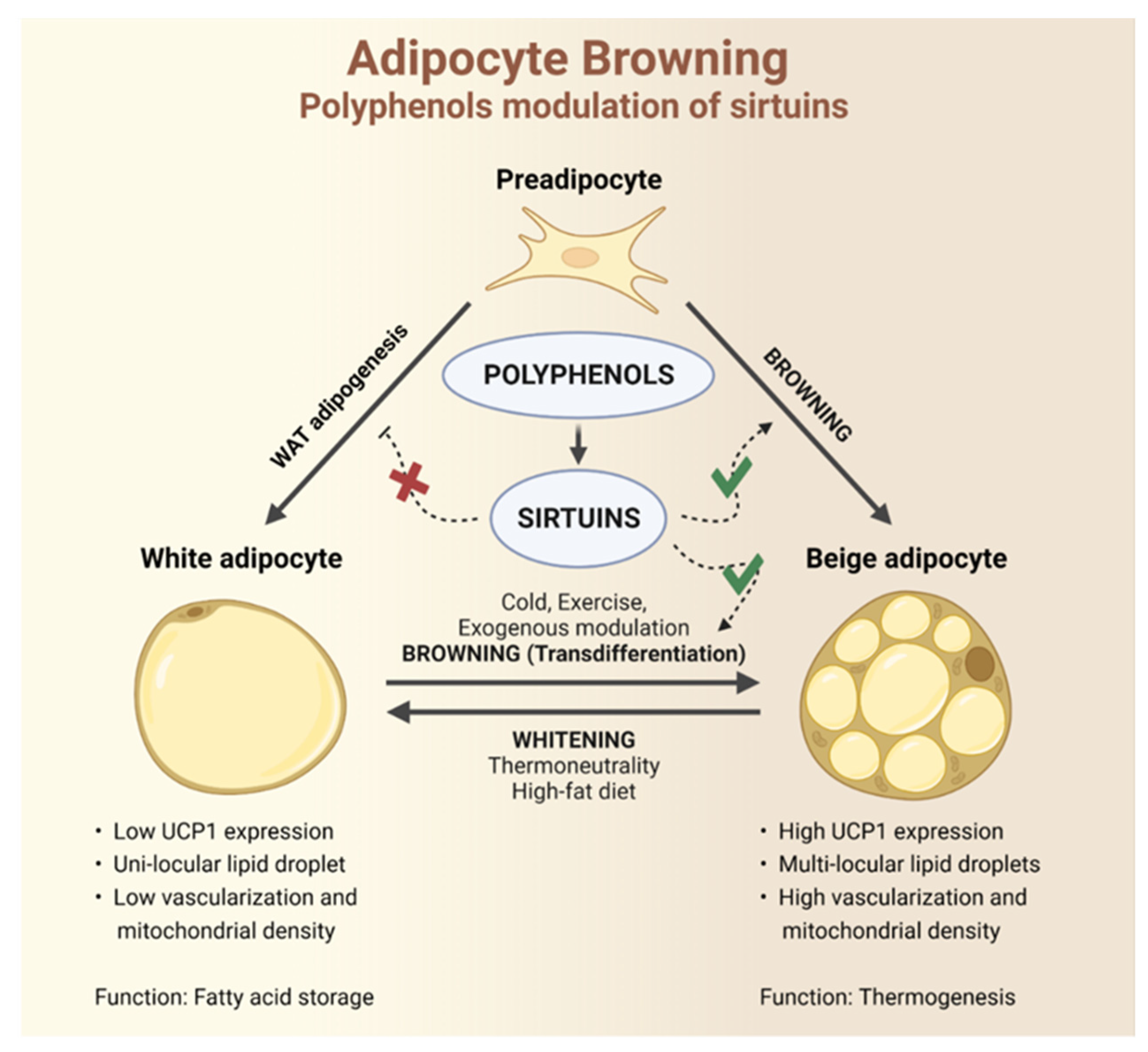 Ijms 24 09276 g001 Ijms 24 09276 g001