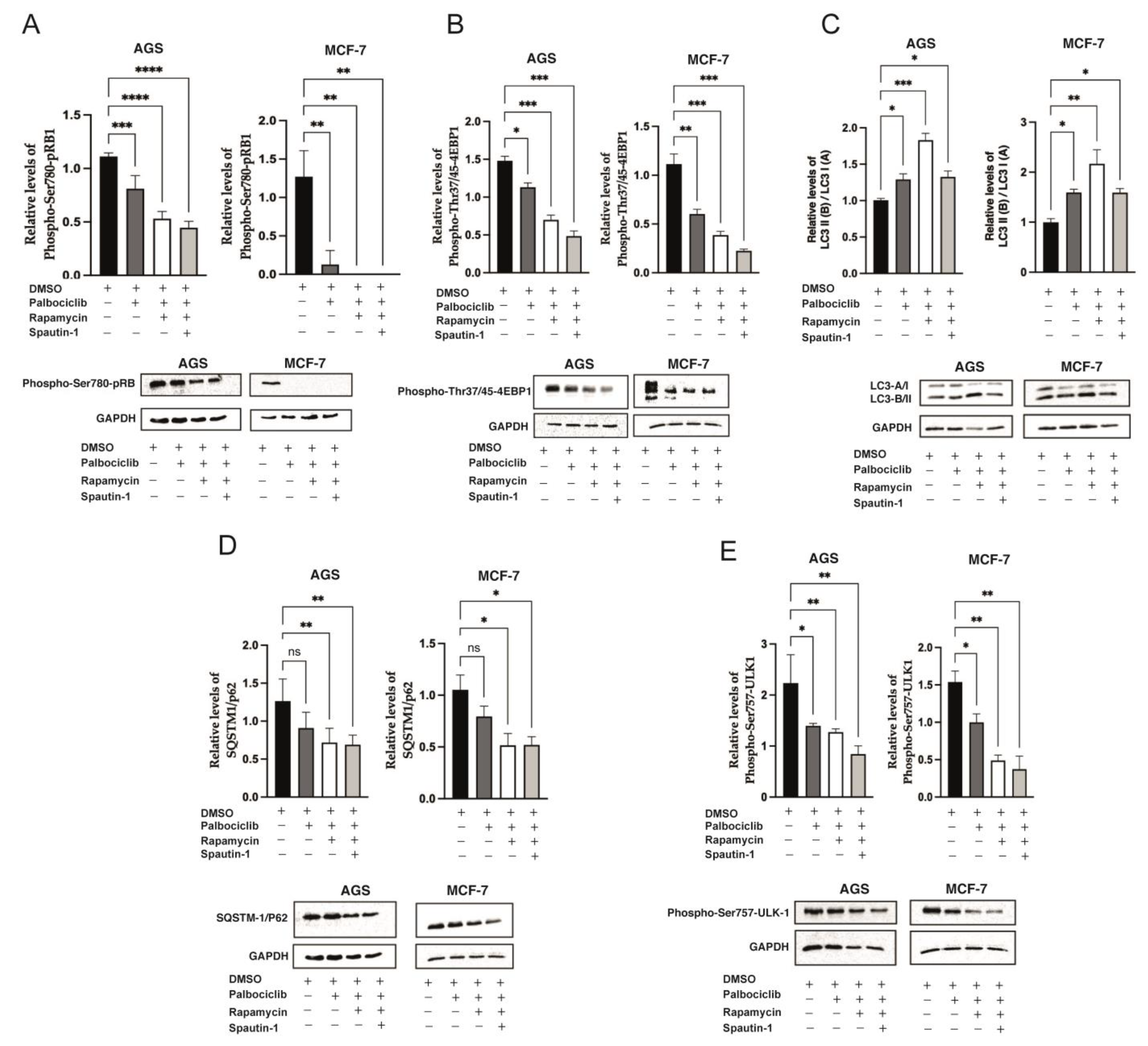 Ijms 24 09284 g003 Ijms 24 09284 g003