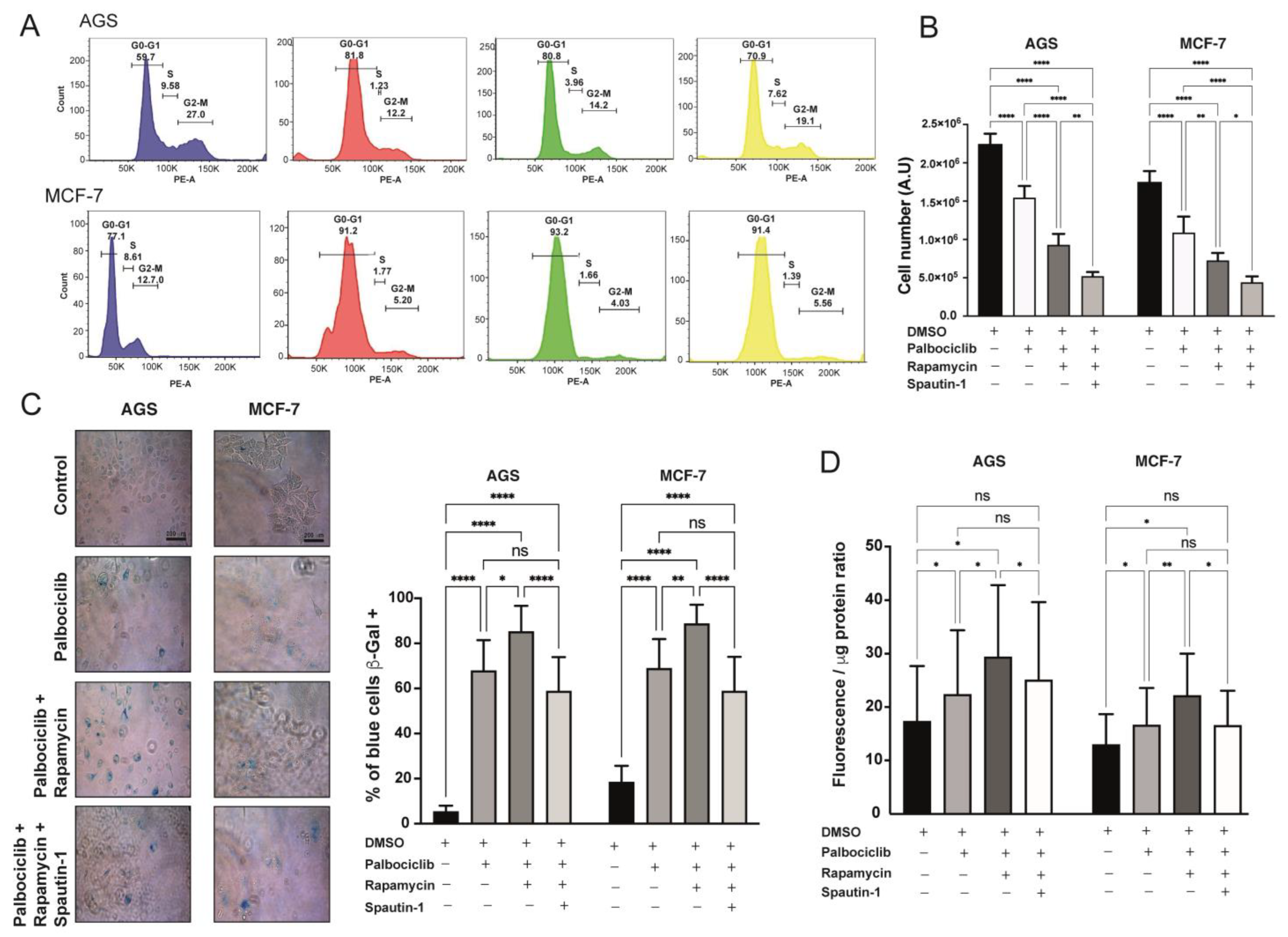Ijms 24 09284 g004 Ijms 24 09284 g004