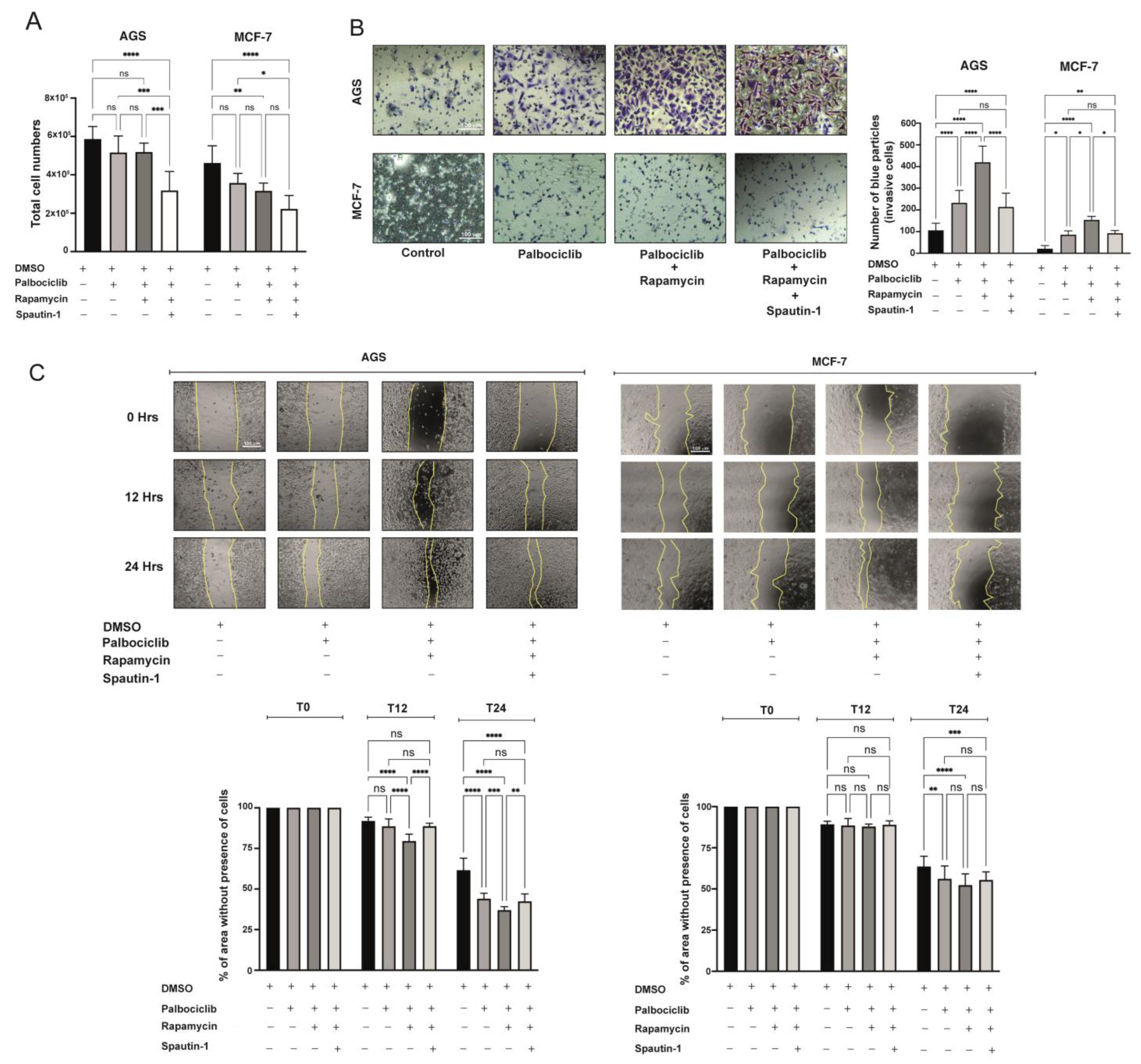 Ijms 24 09284 g006 Ijms 24 09284 g006