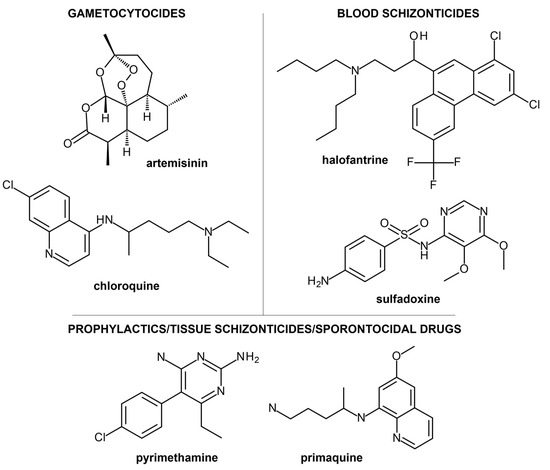 Genetically modified plant may boost supply of a powerful malaria drug