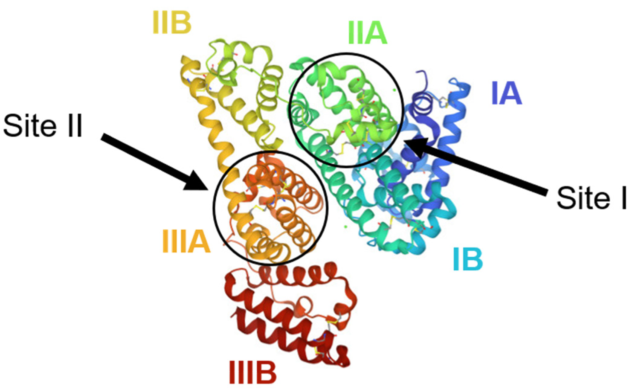 Ijms 24 09289 g017 Ijms 24 09289 g017