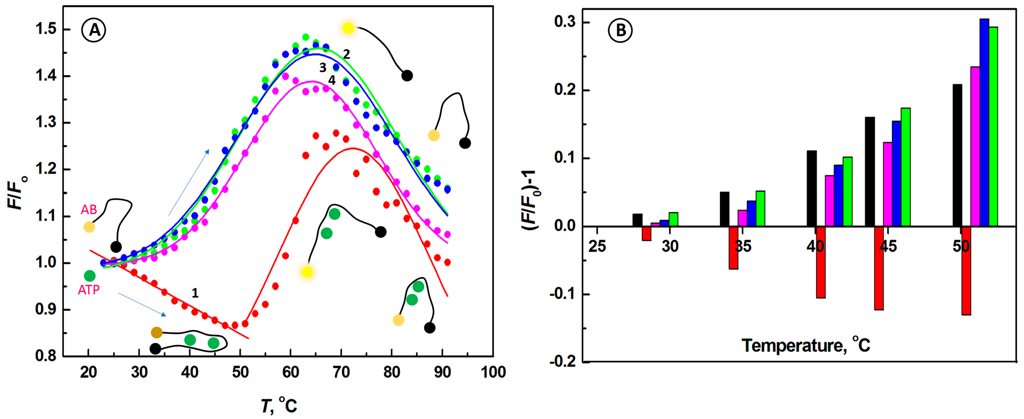 Ijms 24 09295 g002 Ijms 24 09295 g002