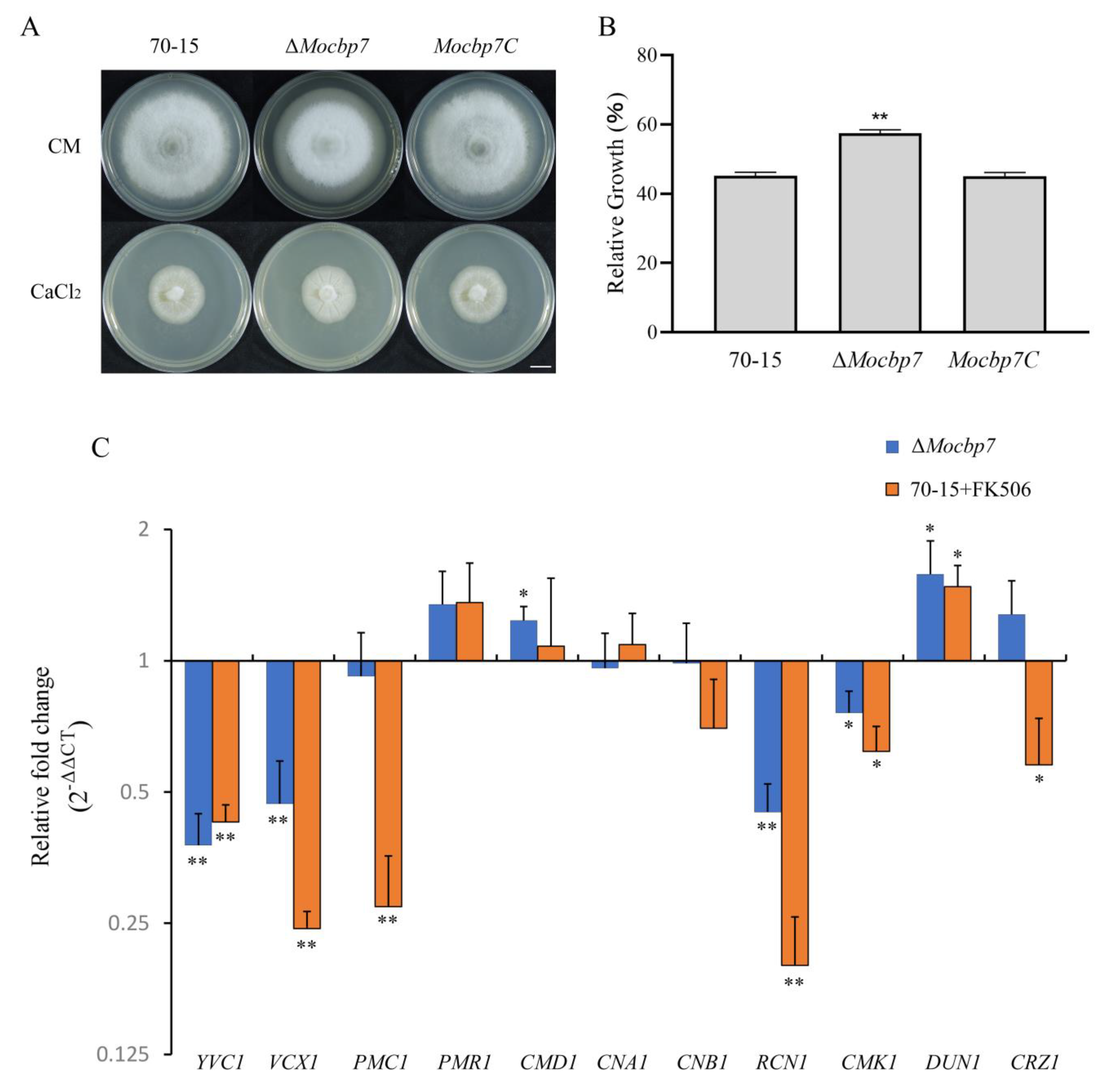 Ijms 24 09297 g003 Ijms 24 09297 g003