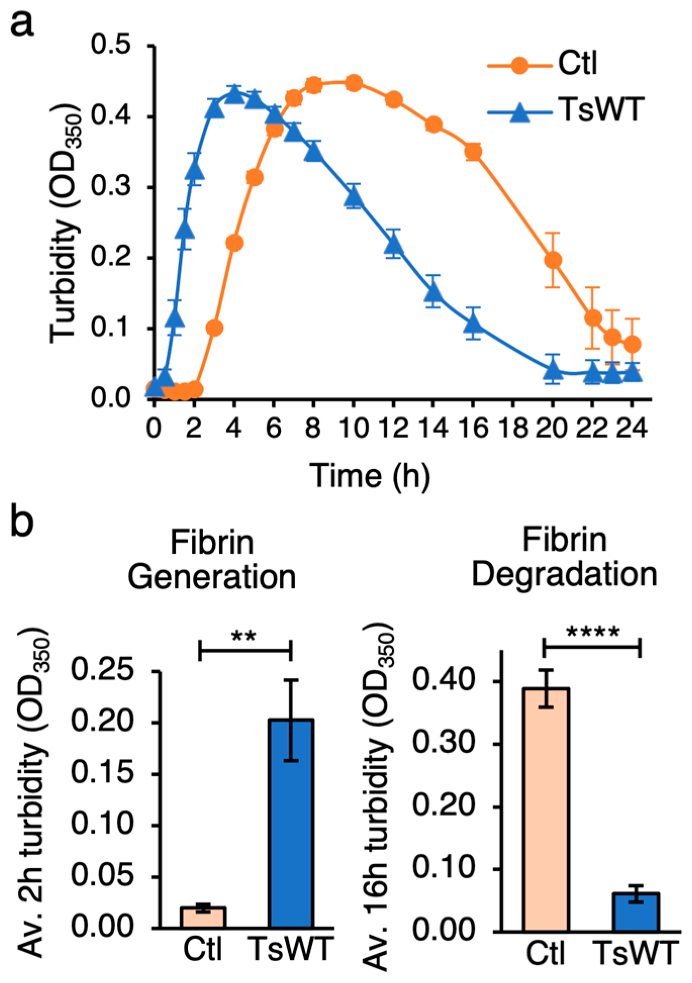 Ijms 24 09306 g001 Ijms 24 09306 g001