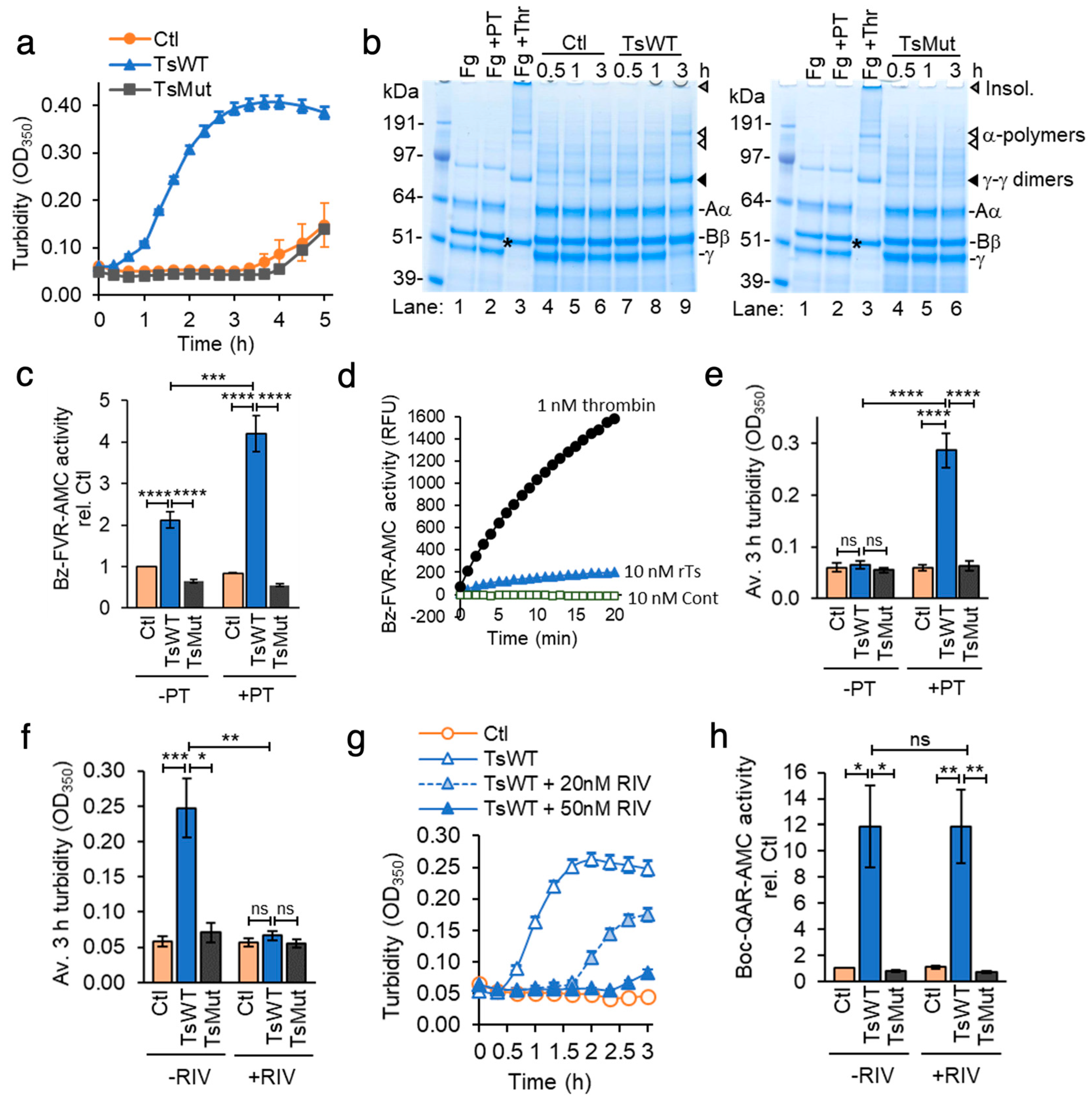 Ijms 24 09306 g003 Ijms 24 09306 g003
