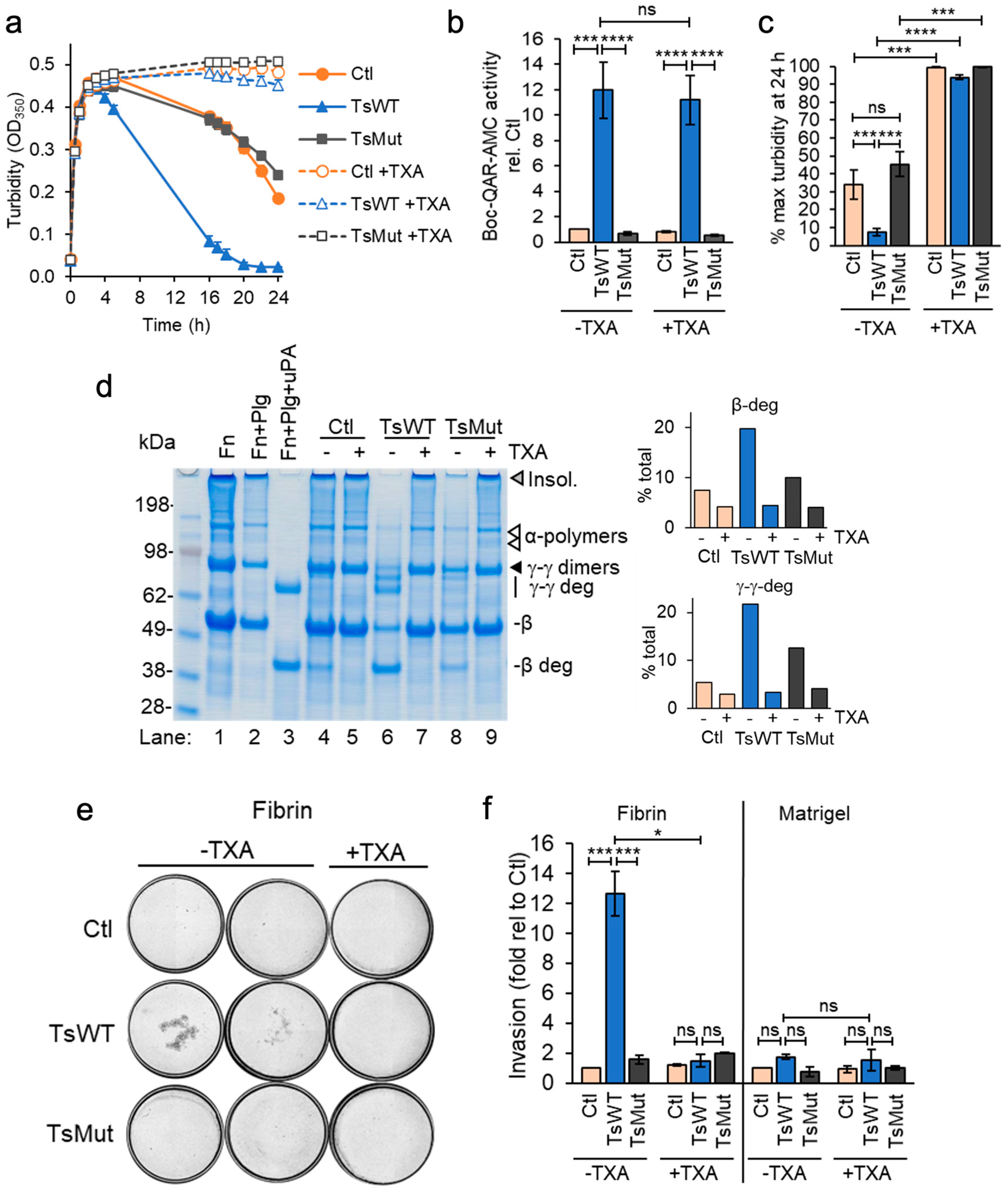 Ijms 24 09306 g004 Ijms 24 09306 g004