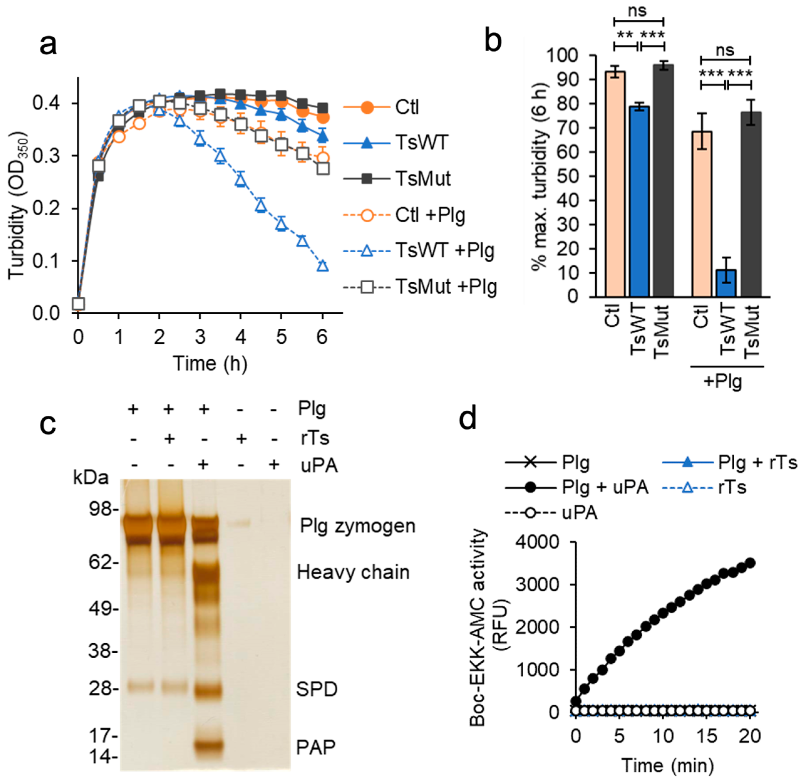 Ijms 24 09306 g005 Ijms 24 09306 g005