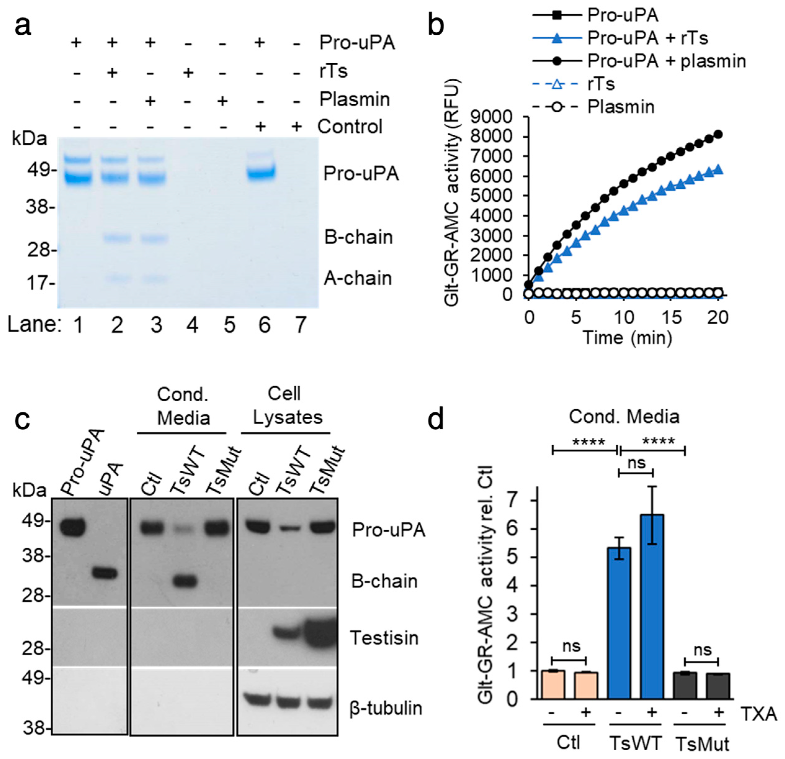 Ijms 24 09306 g006 Ijms 24 09306 g006