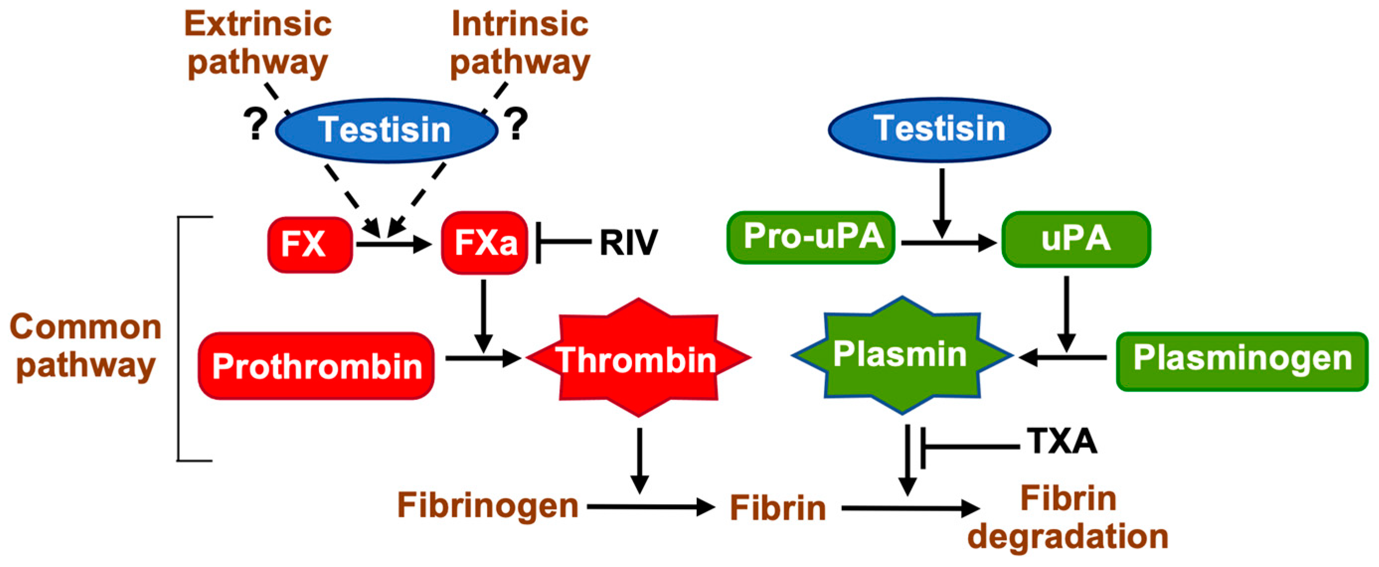 Ijms 24 09306 g007 Ijms 24 09306 g007