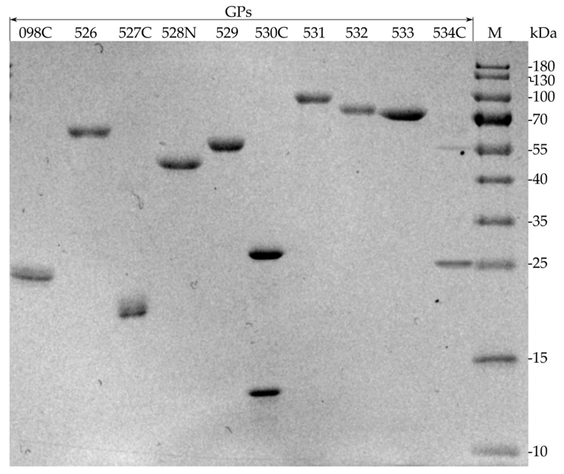 Ijms 24 09320 g004 Ijms 24 09320 g004