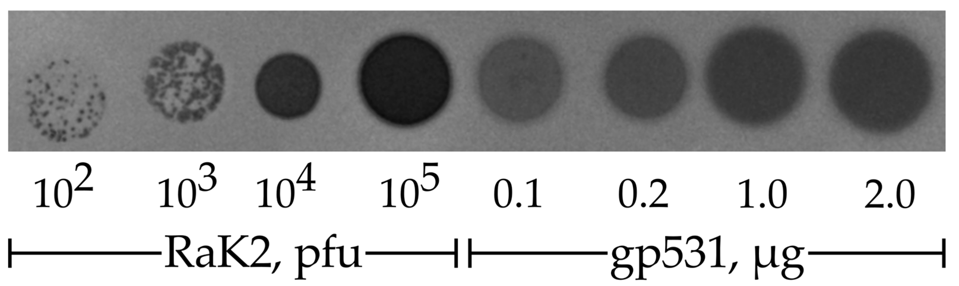 Ijms 24 09320 g005 Ijms 24 09320 g005