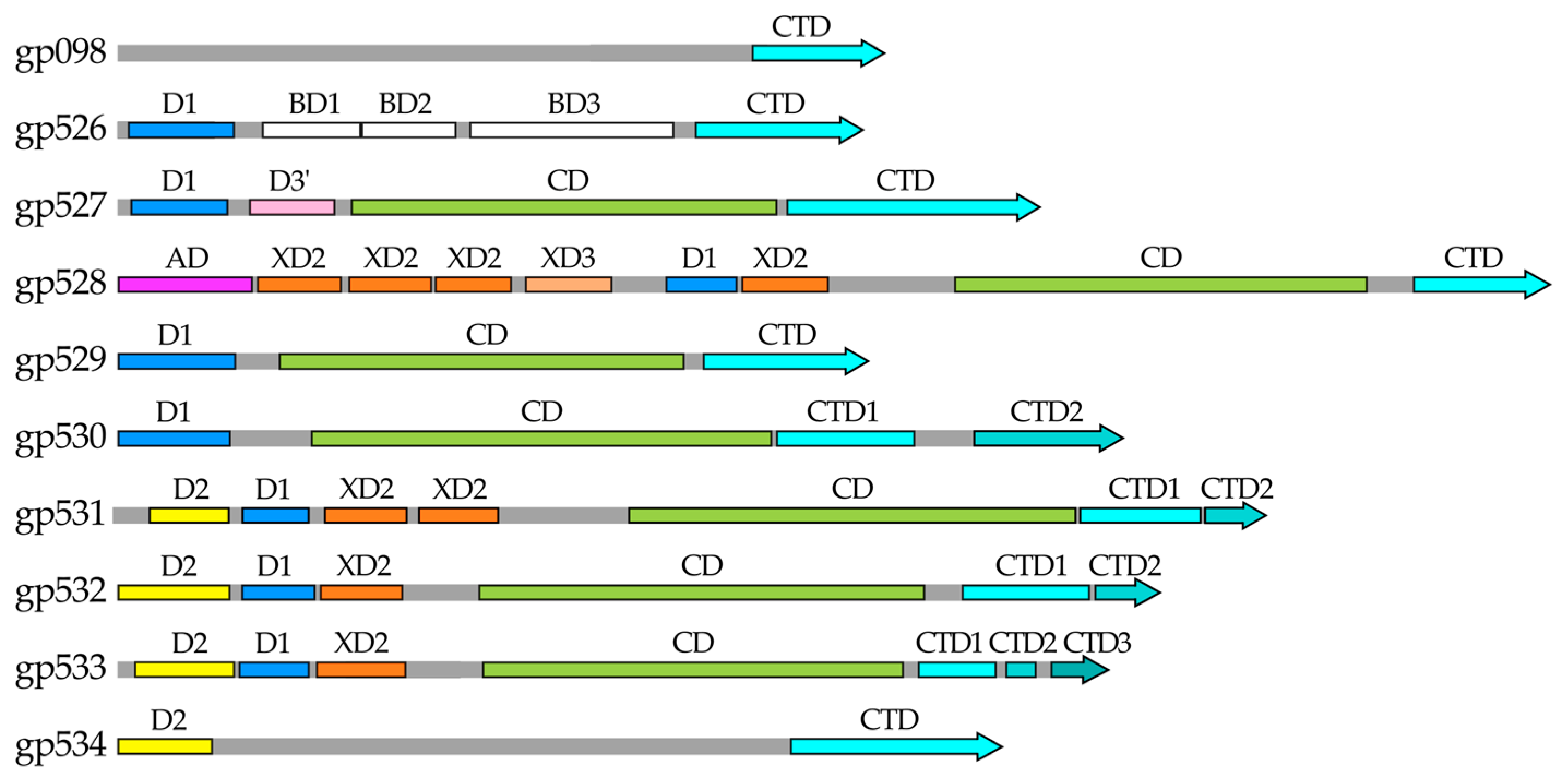 Ijms 24 09320 g011 Ijms 24 09320 g011