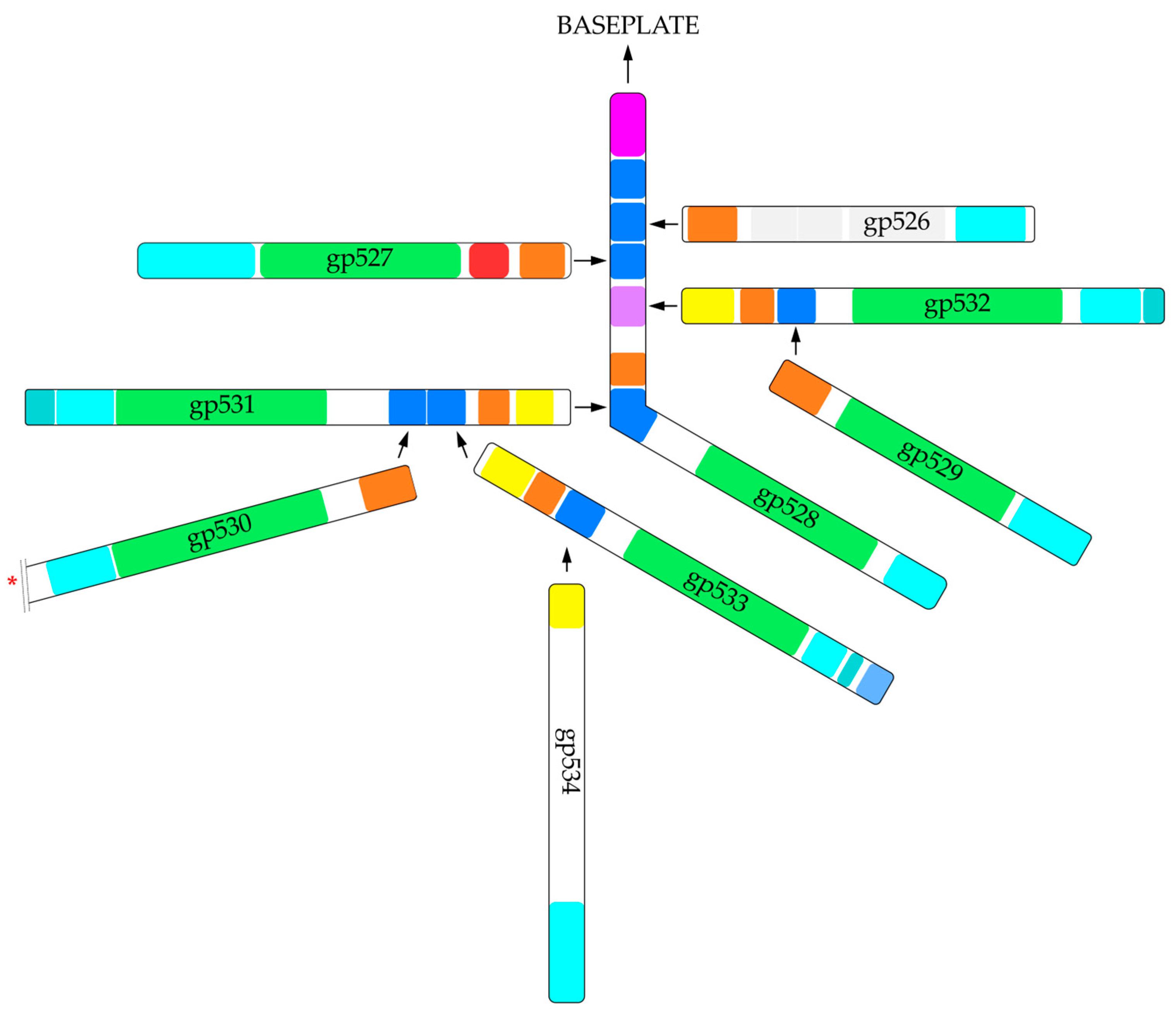 Ijms 24 09320 g012 Ijms 24 09320 g012