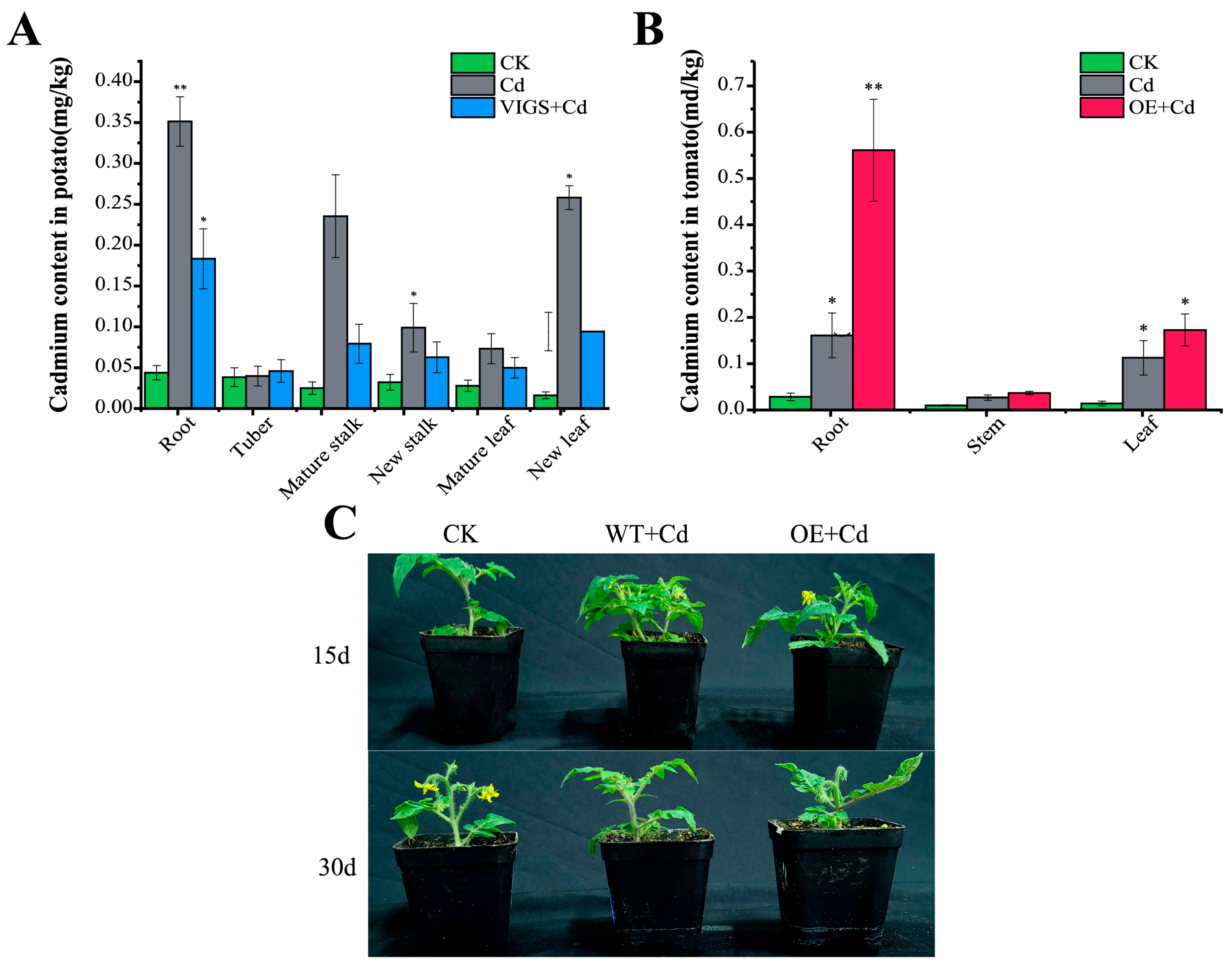 Frontiers  Oxidative stress protection and growth promotion activity of  Pseudomonas mercuritolerans sp. nov., in forage plants under mercury  abiotic stress conditions