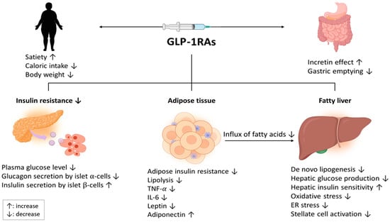 The Weight-loss Effect of GLP-1RAs Glucagon-Like Peptide-1 Receptor  Agonists in Non-diabetic Individuals with Overweight or Obesity: A  Systematic Review with Meta-Analysis and Trial Sequential Analysis of  Randomized Controlled Trials - The American