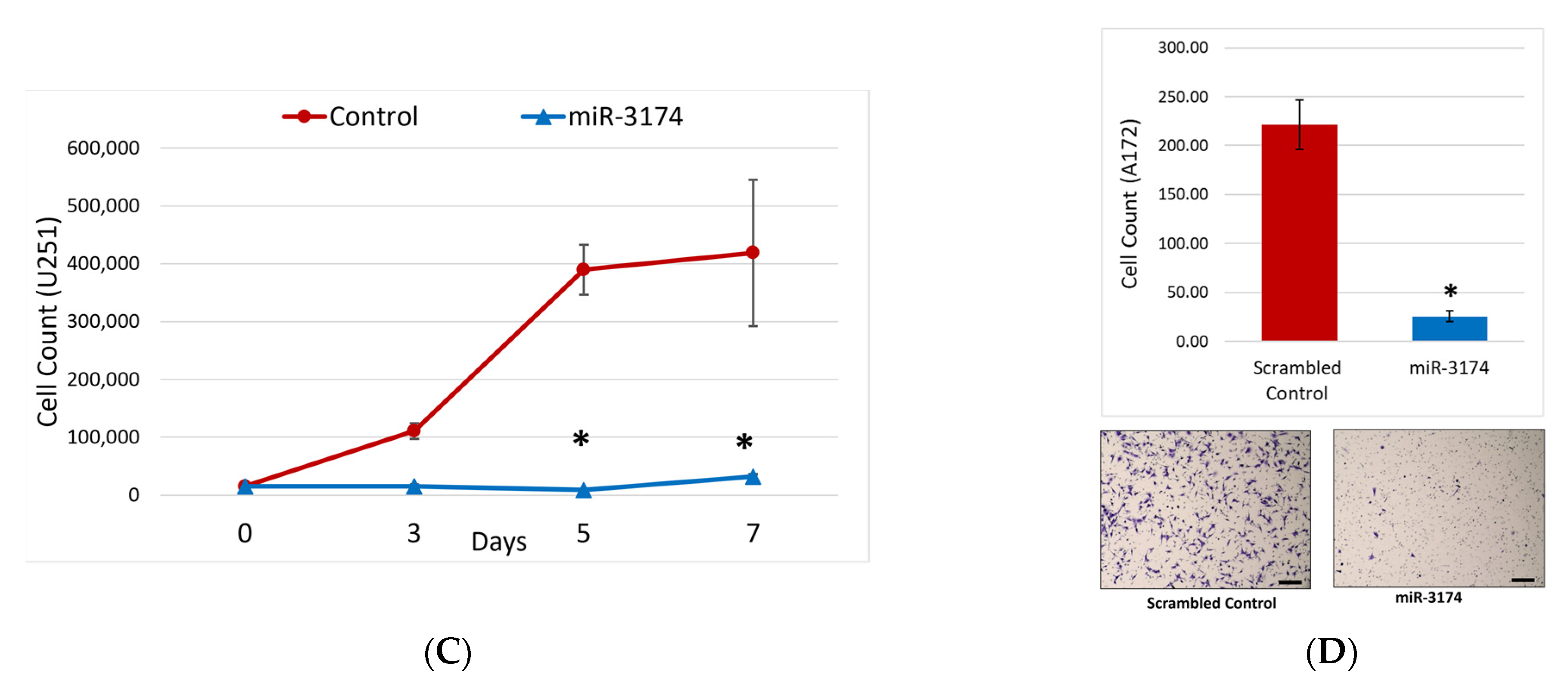 Ijms 24 09326 g002b Ijms 24 09326 g002b