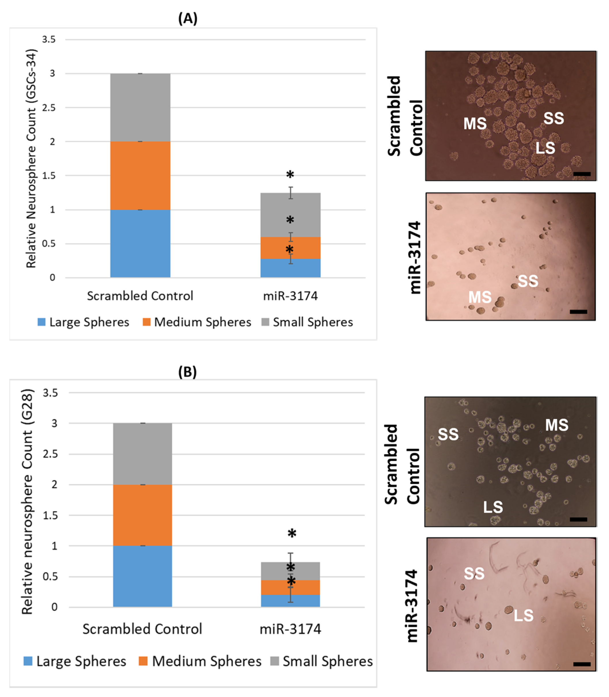 Ijms 24 09326 g003 Ijms 24 09326 g003