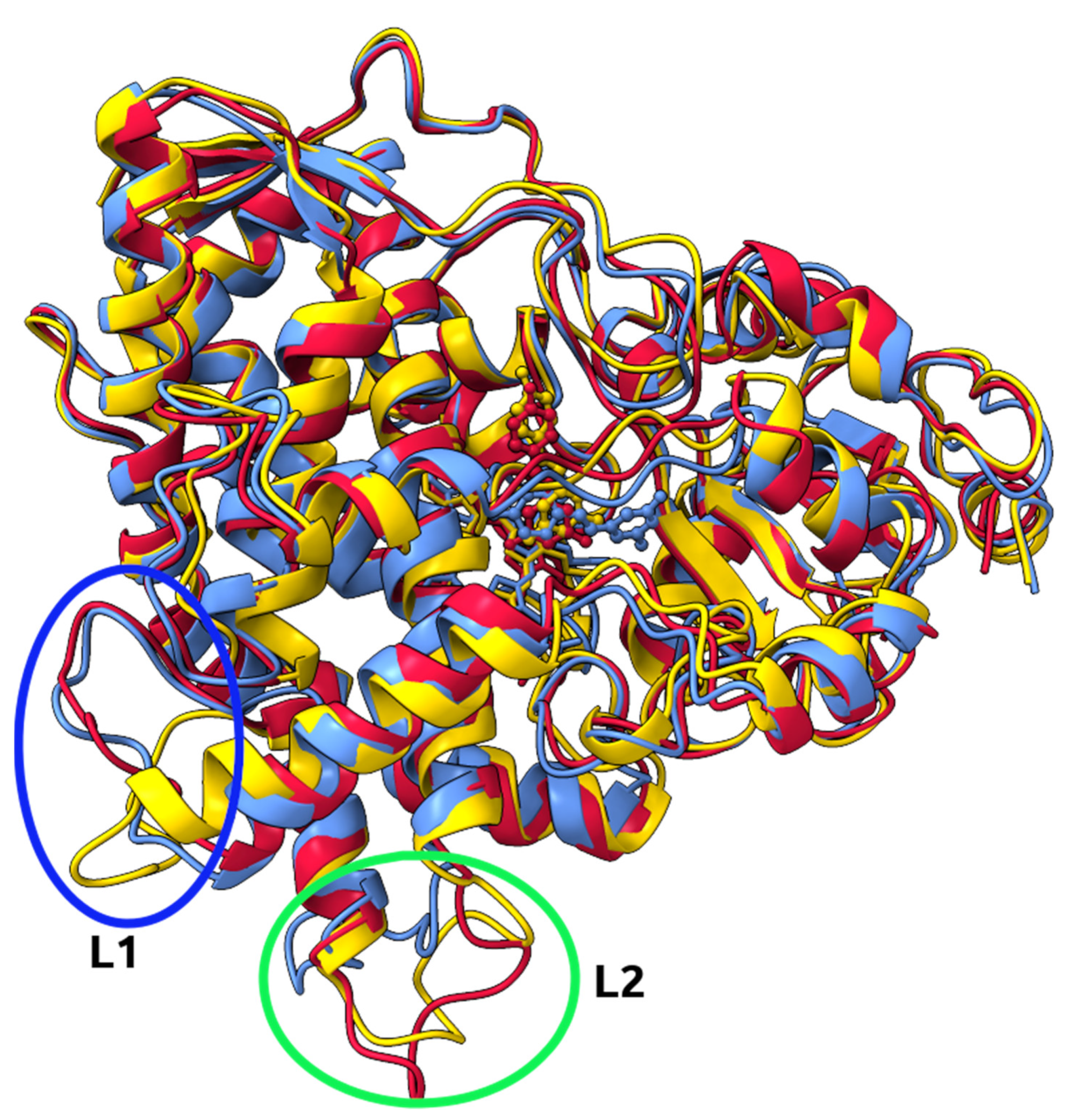 Ijms 24 09333 g005 Ijms 24 09333 g005