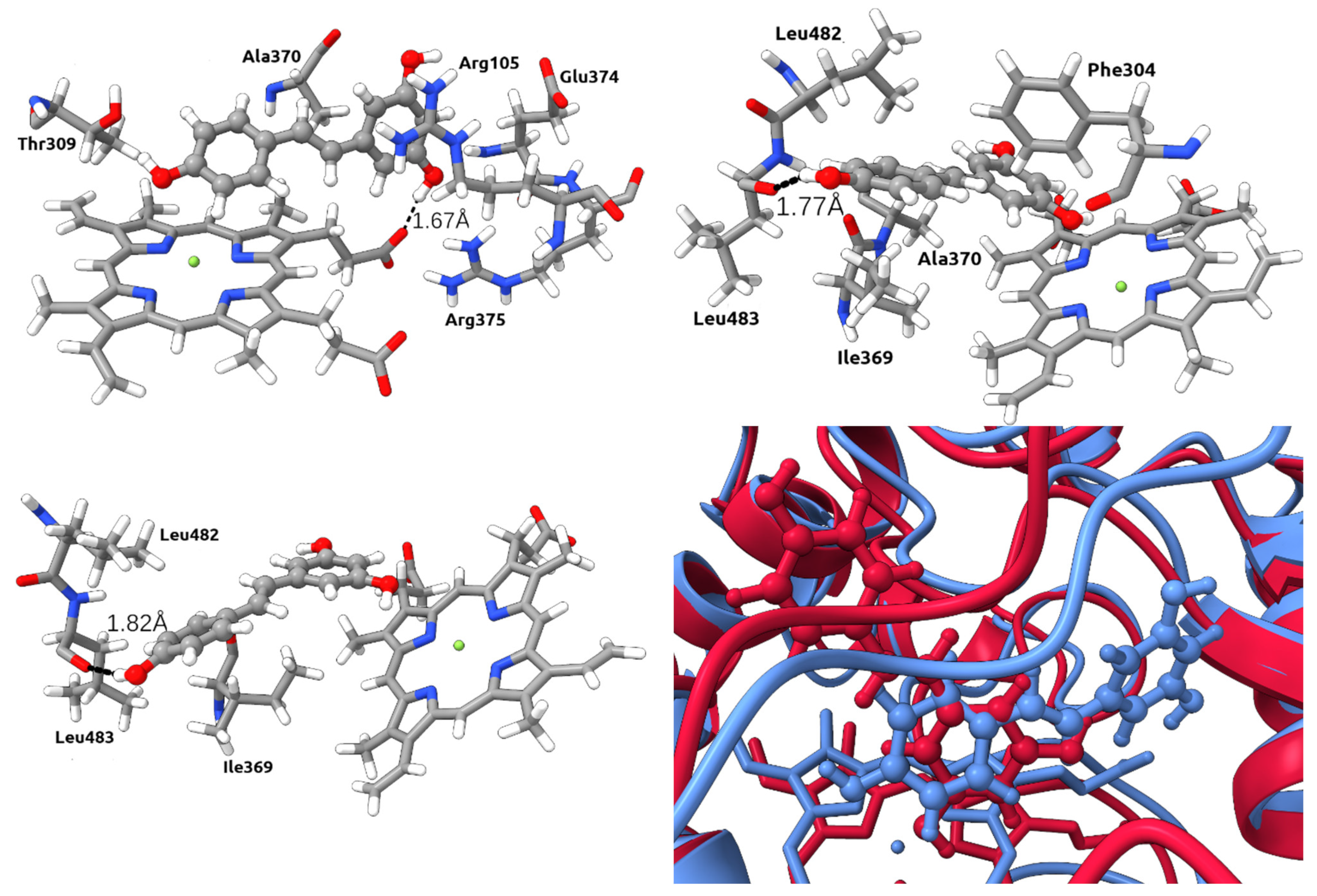 Ijms 24 09333 g006 Ijms 24 09333 g006