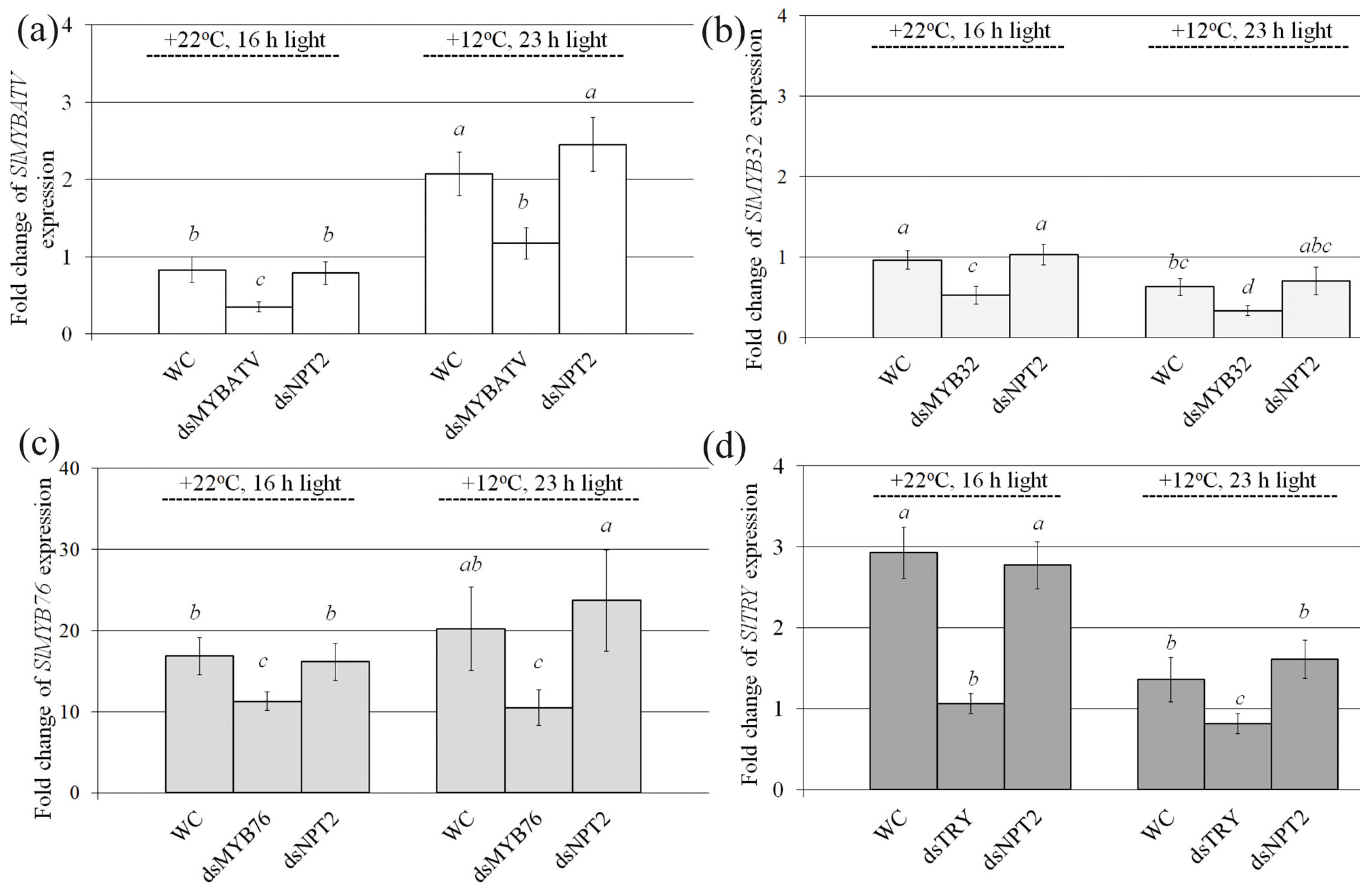 Ijms Free Full Text Exogenously Induced Silencing Of Four Myb Transcription Repressor Genes