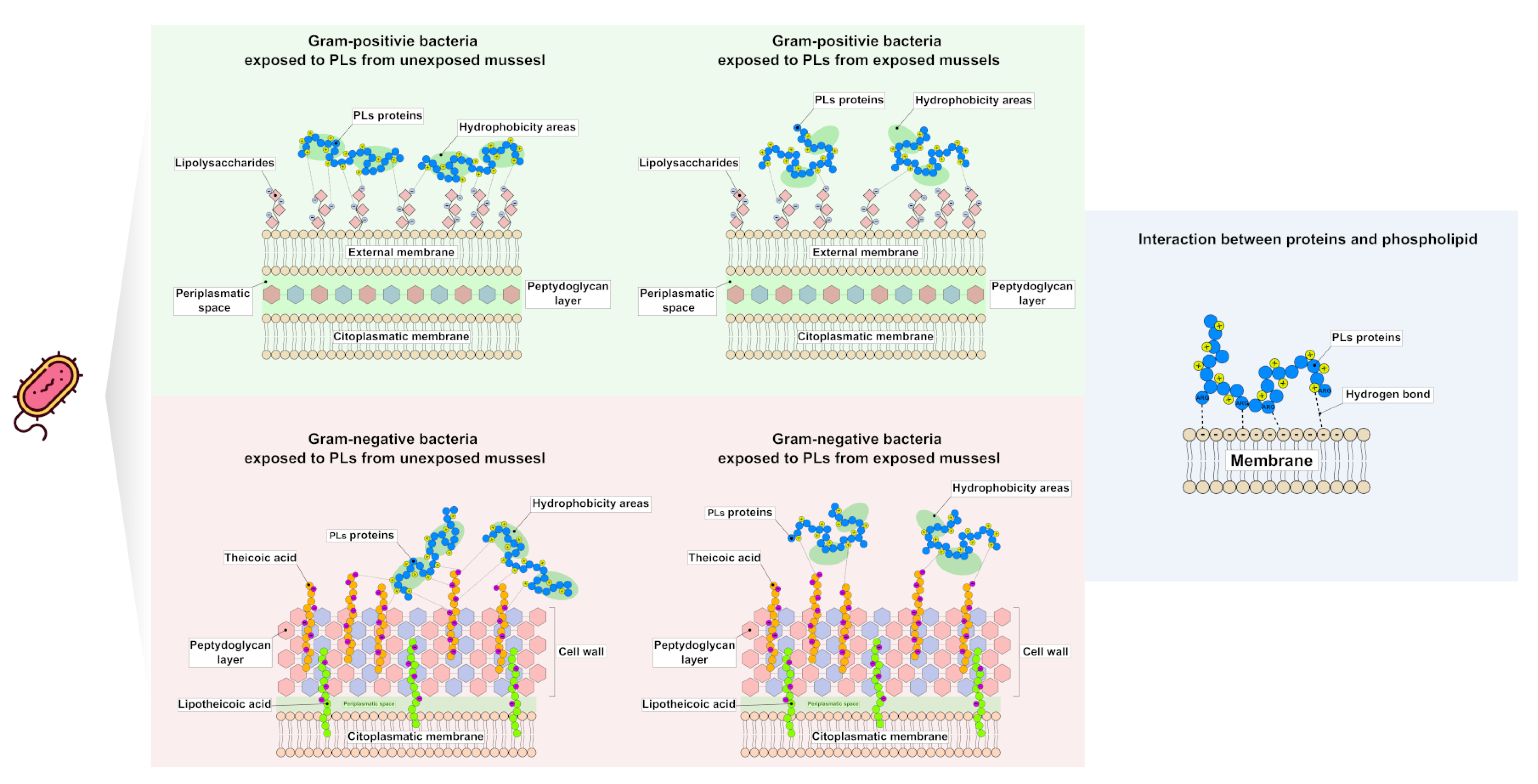 Ijms 24 09345 g008 Ijms 24 09345 g008