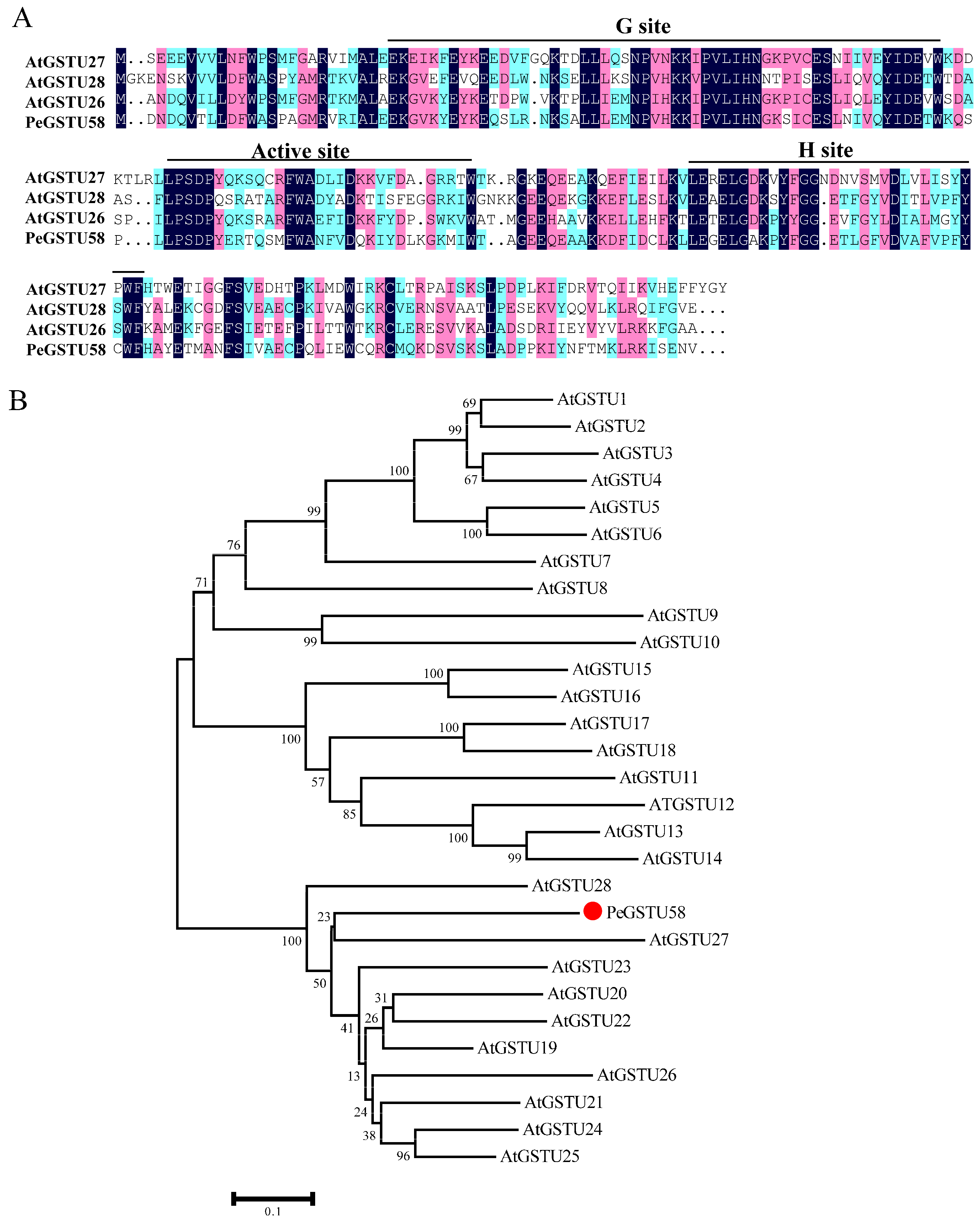 Ijms 24 09354 g001 Ijms 24 09354 g001