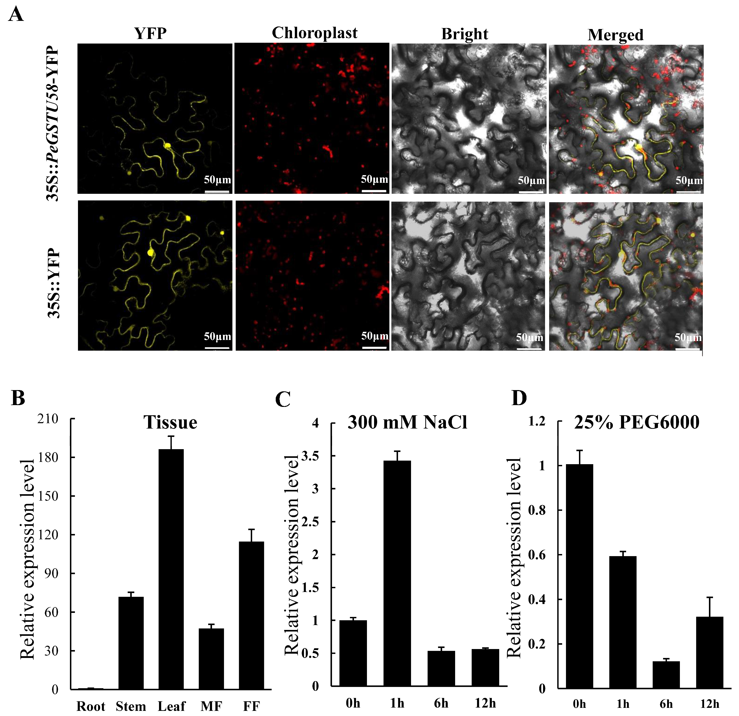 Ijms 24 09354 g002 Ijms 24 09354 g002