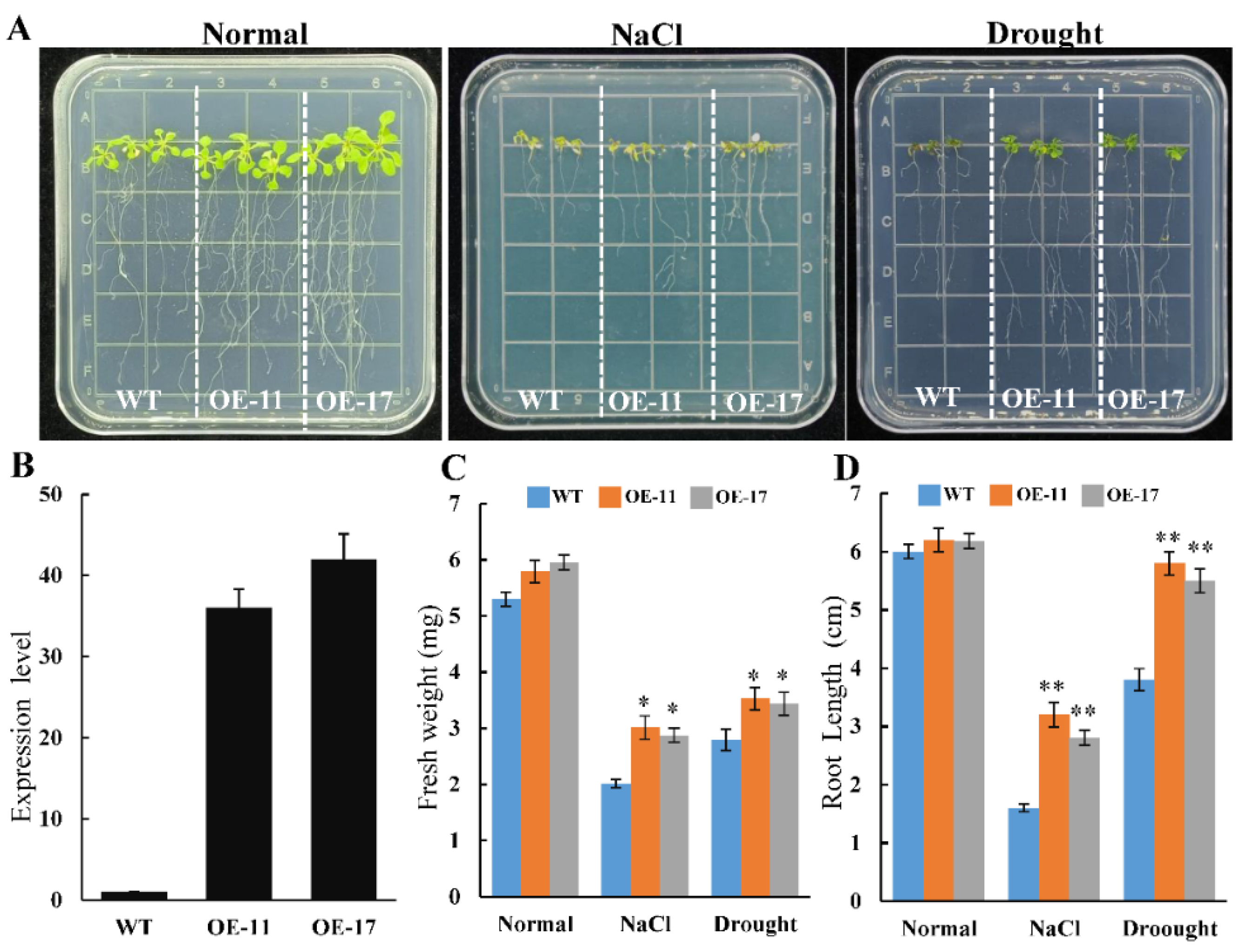 Ijms 24 09354 g003 Ijms 24 09354 g003