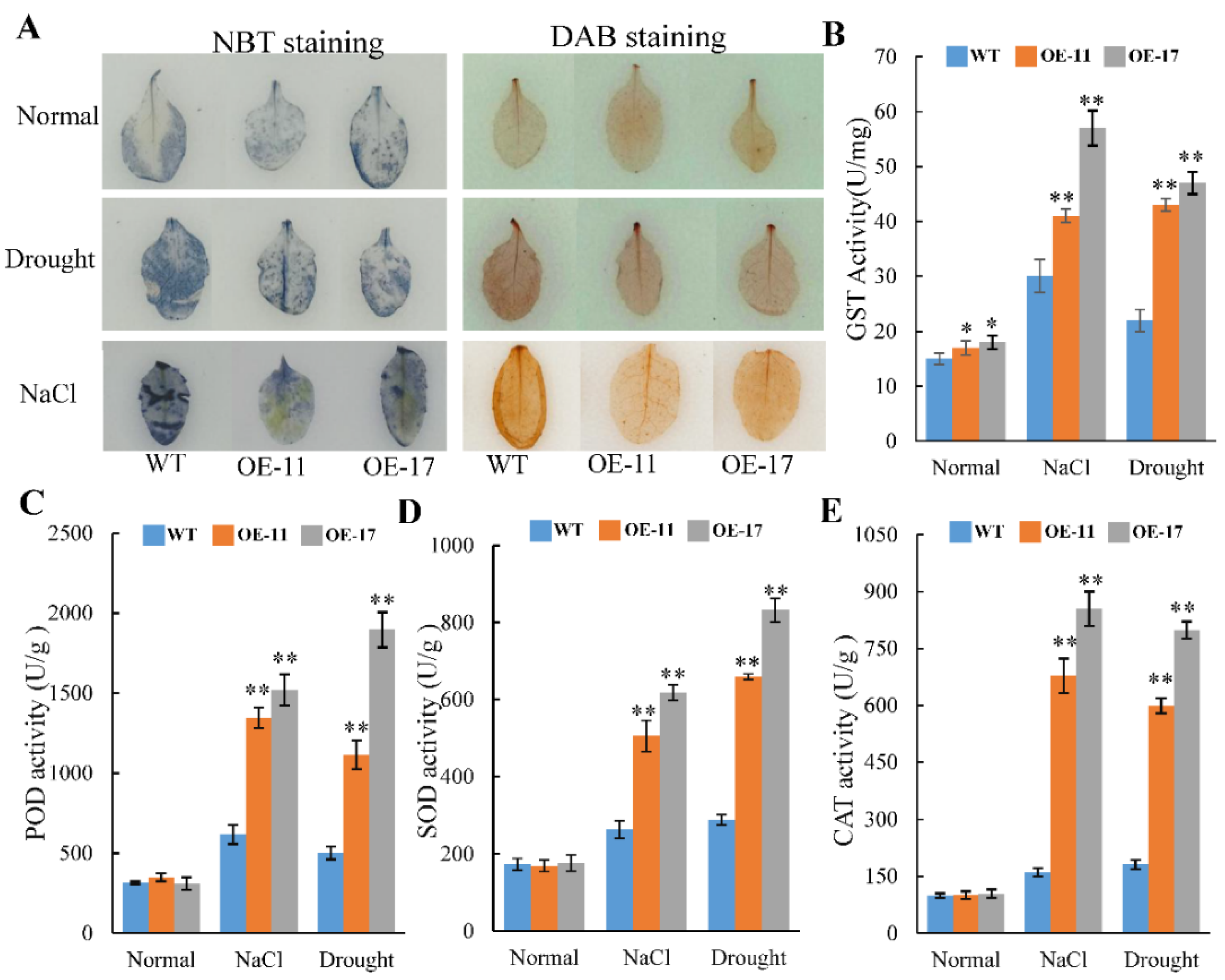 Ijms 24 09354 g005 Ijms 24 09354 g005