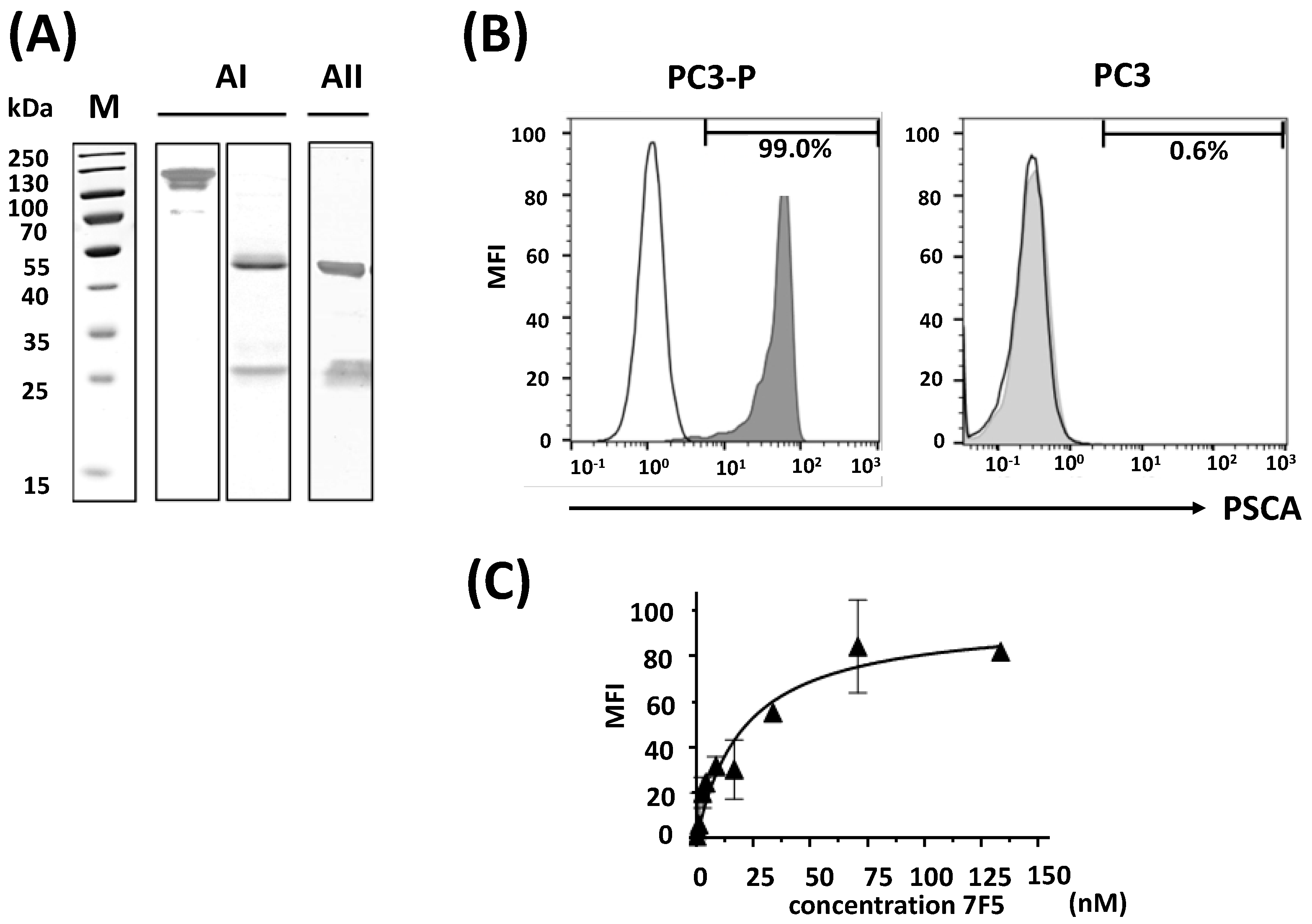 Ijms 24 09420 g001 Ijms 24 09420 g001