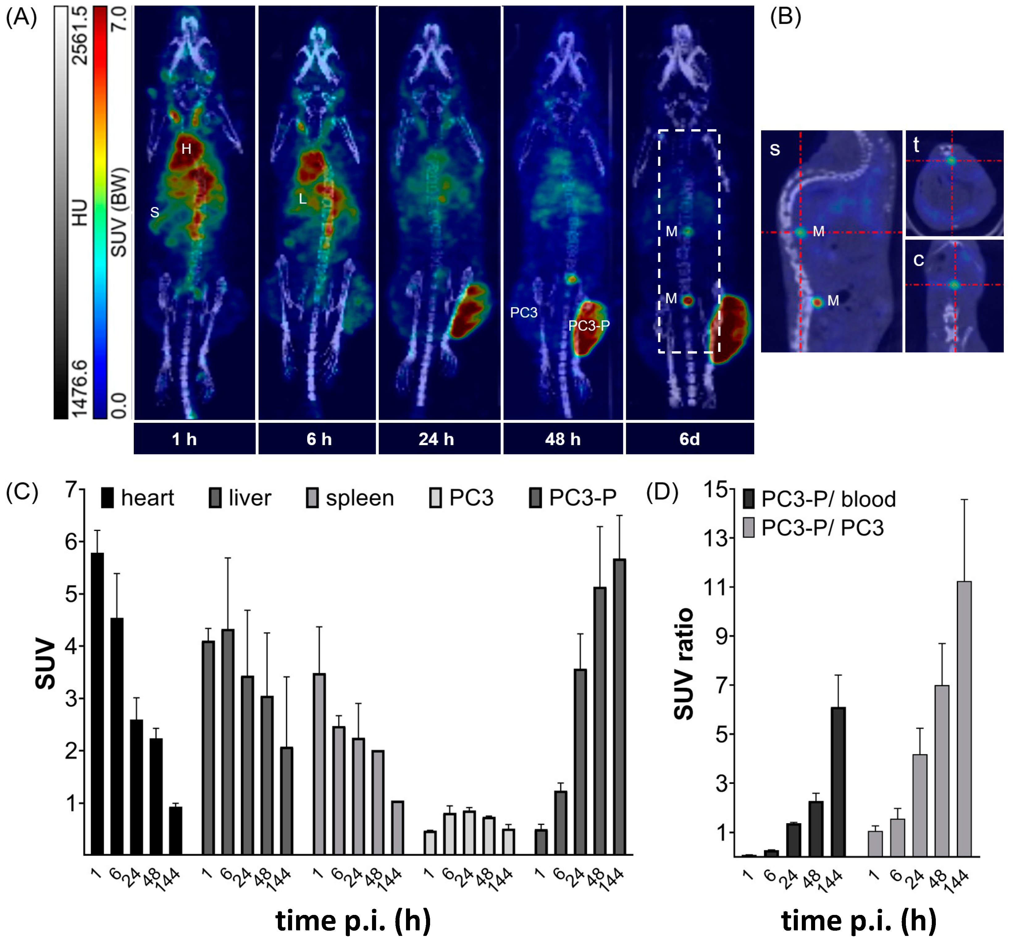 Ijms 24 09420 g008 Ijms 24 09420 g008