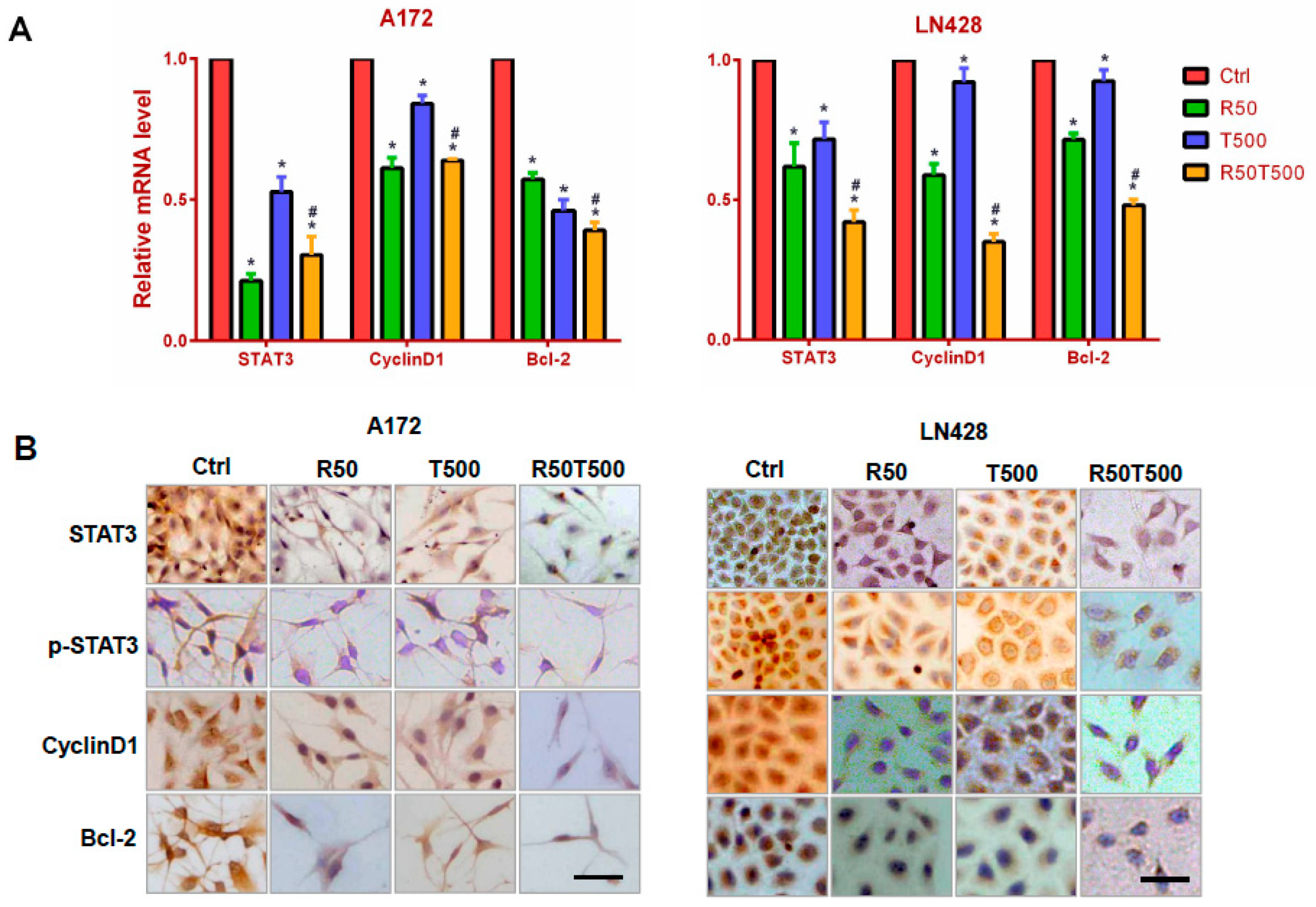 Ijms 24 09453 g003 Ijms 24 09453 g003
